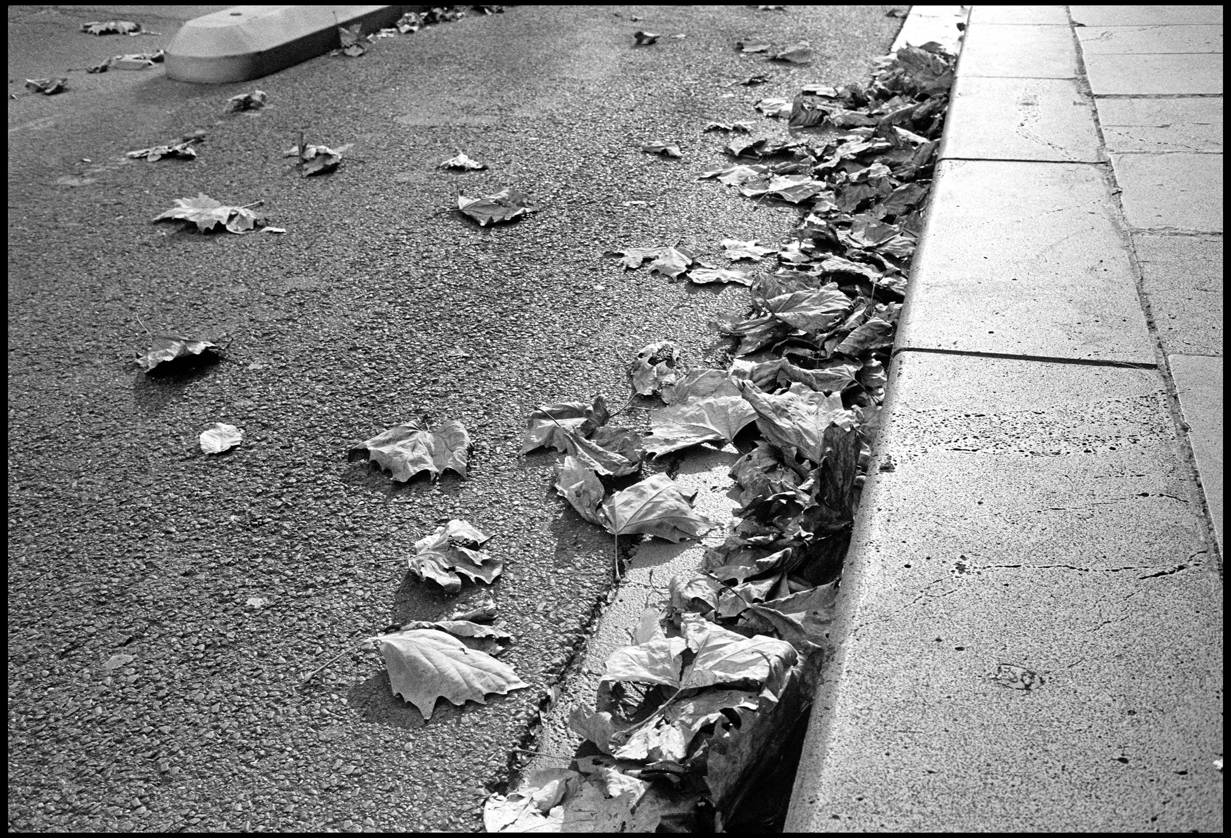 Exhibition Street, Melbourne 2025 (1071-012) HP5 / Leica III / 35mm Nikkor f2.5