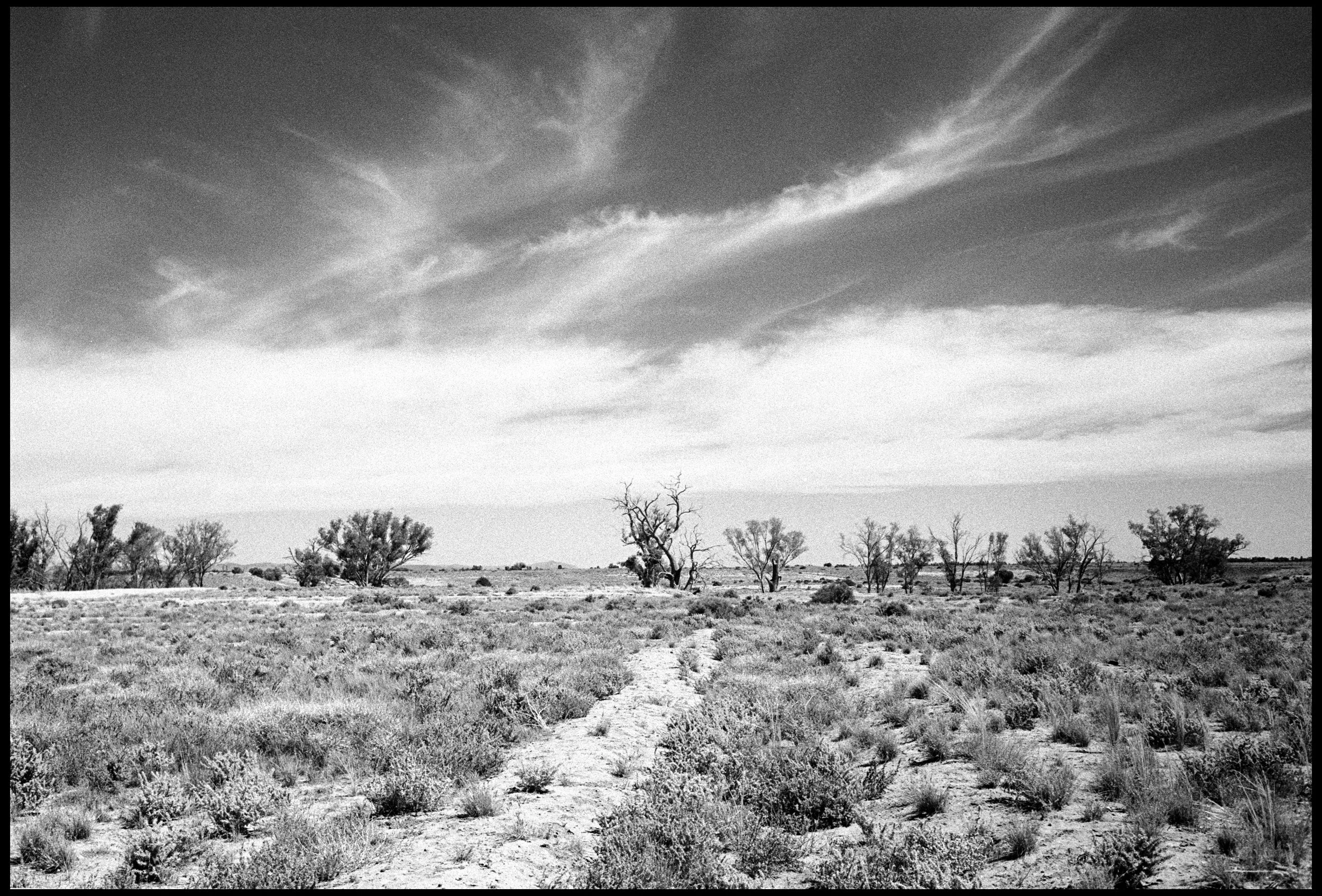 Parachilna to Hawker 2023 (932-023) FP4 / Leica III / 35mm Canon f2