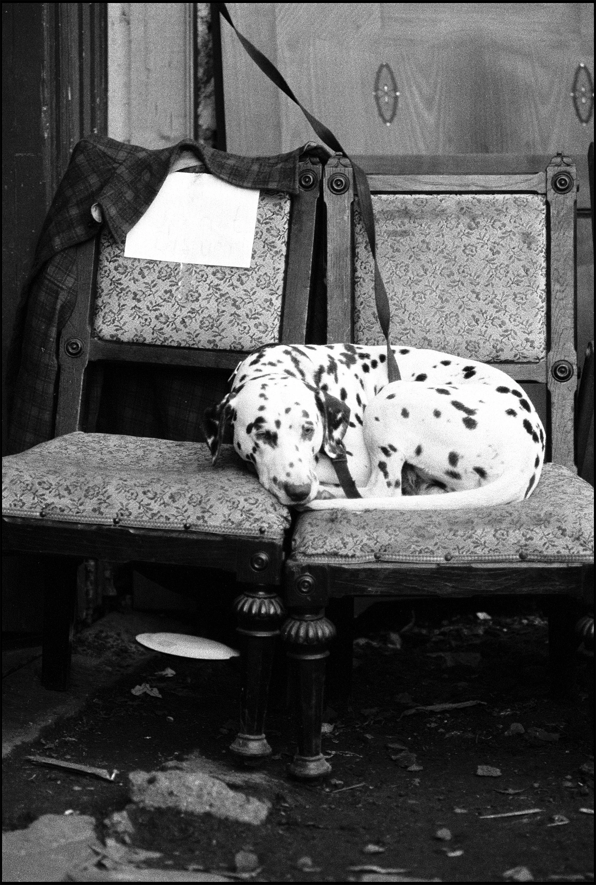 Camden Market 1994 (117.5-31) FP4 / Canon A1 / 50mm Canon