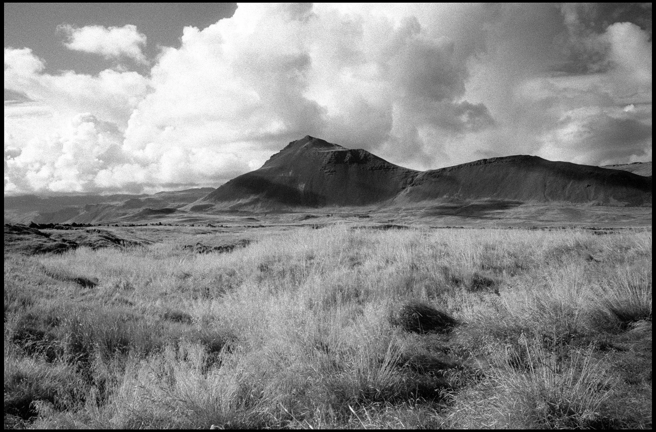 Around Budakirkja, Iceland 2025 (1007-008) SFX / Leica III / 35mm Canon f2