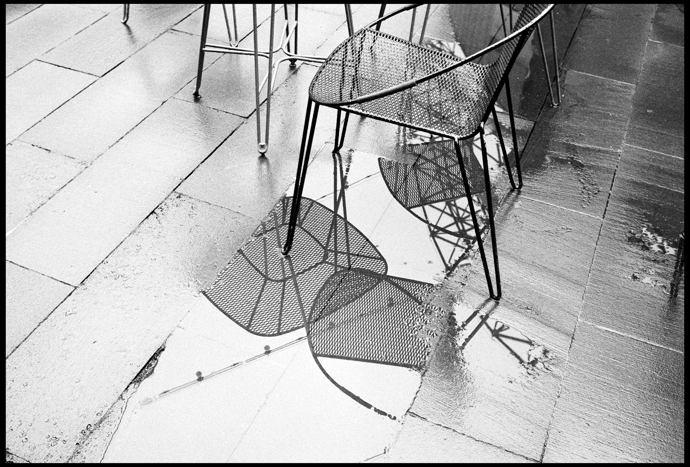 NGV, Melbourne 2022 (938-015) FP4 / Leica III / 35mm Canon f2