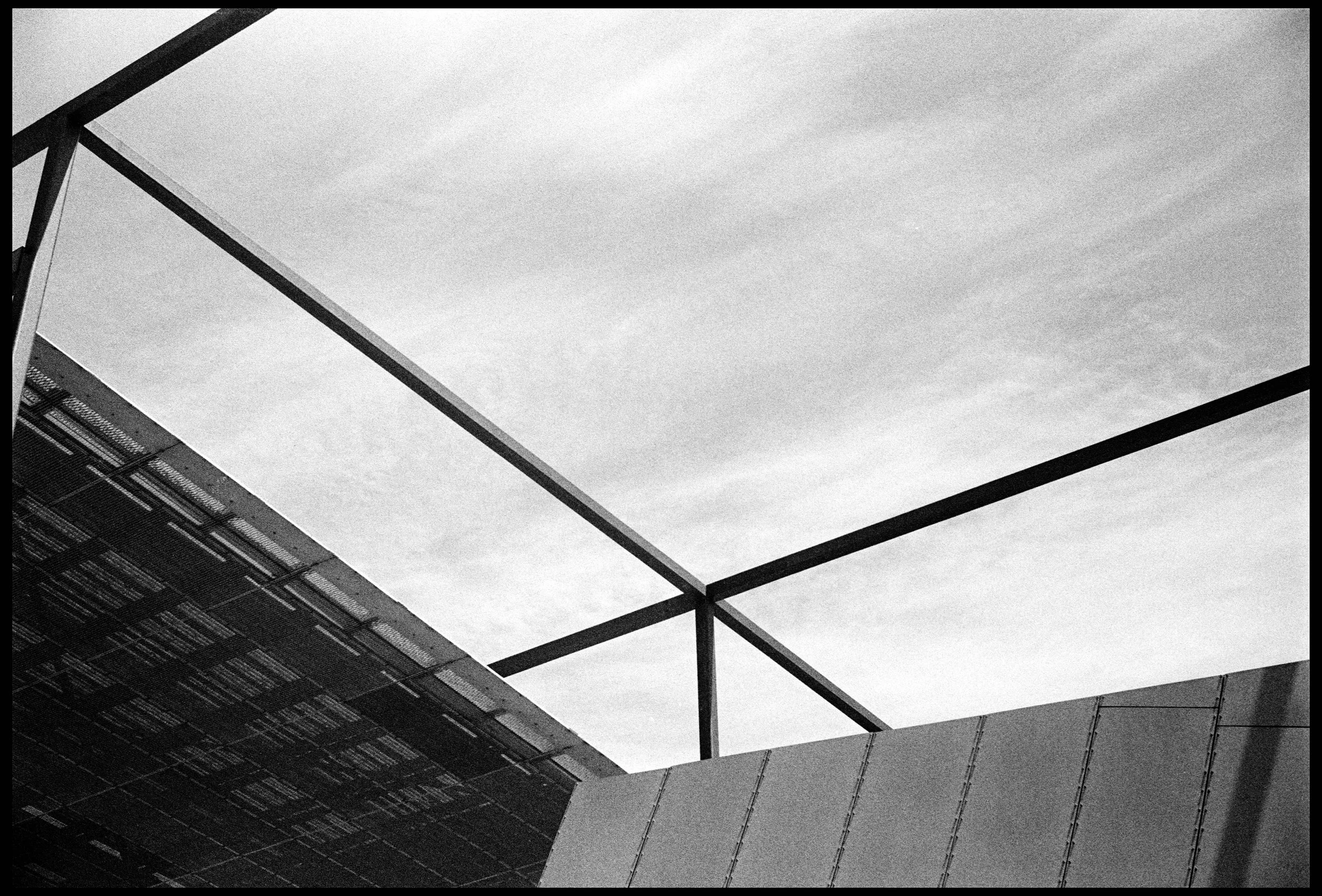 Melbourne Museum 2024 (960-036) HP5 / Leica III / 50mm Leitz Elmar f3.5