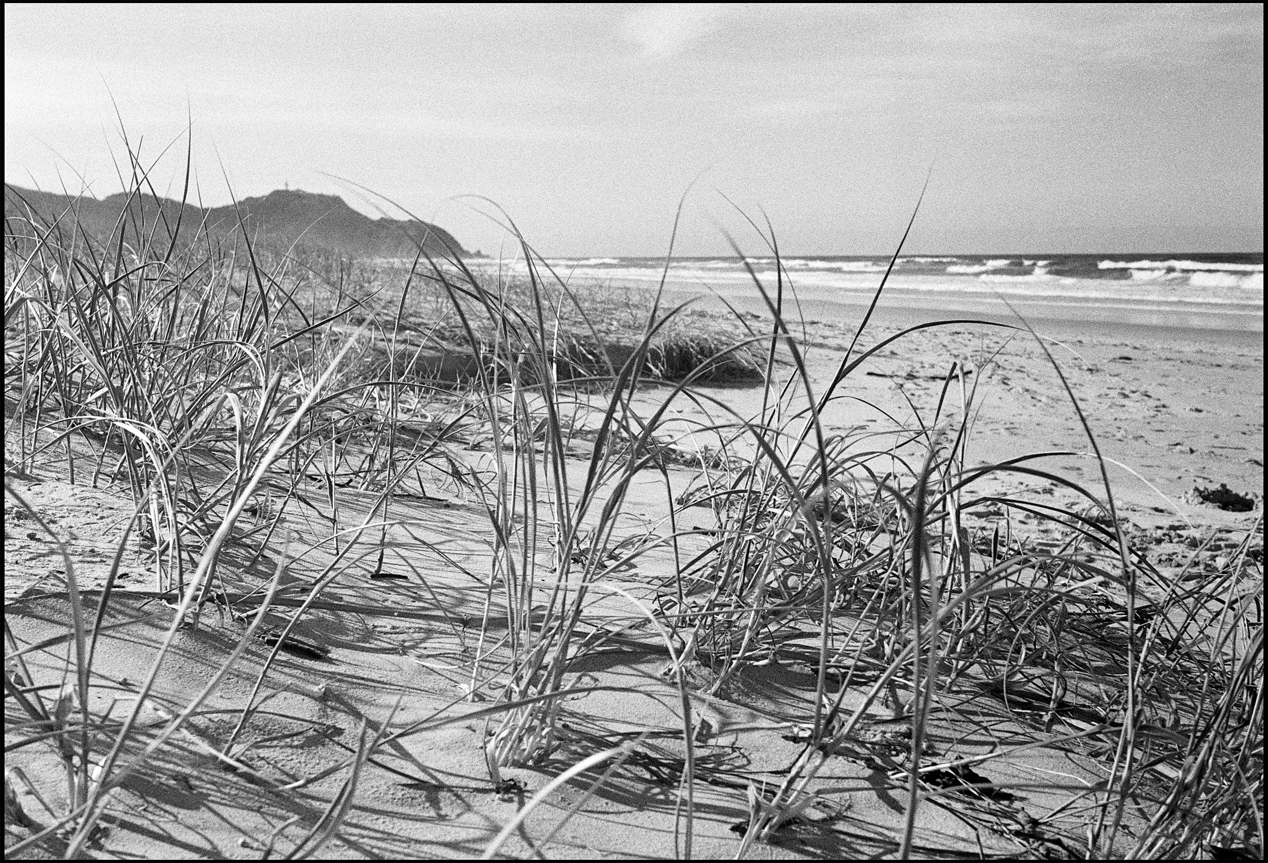 Byron Bay 2015 (674-029) FP4 / Leica III / 50mm Leitz Elmar f3.5 