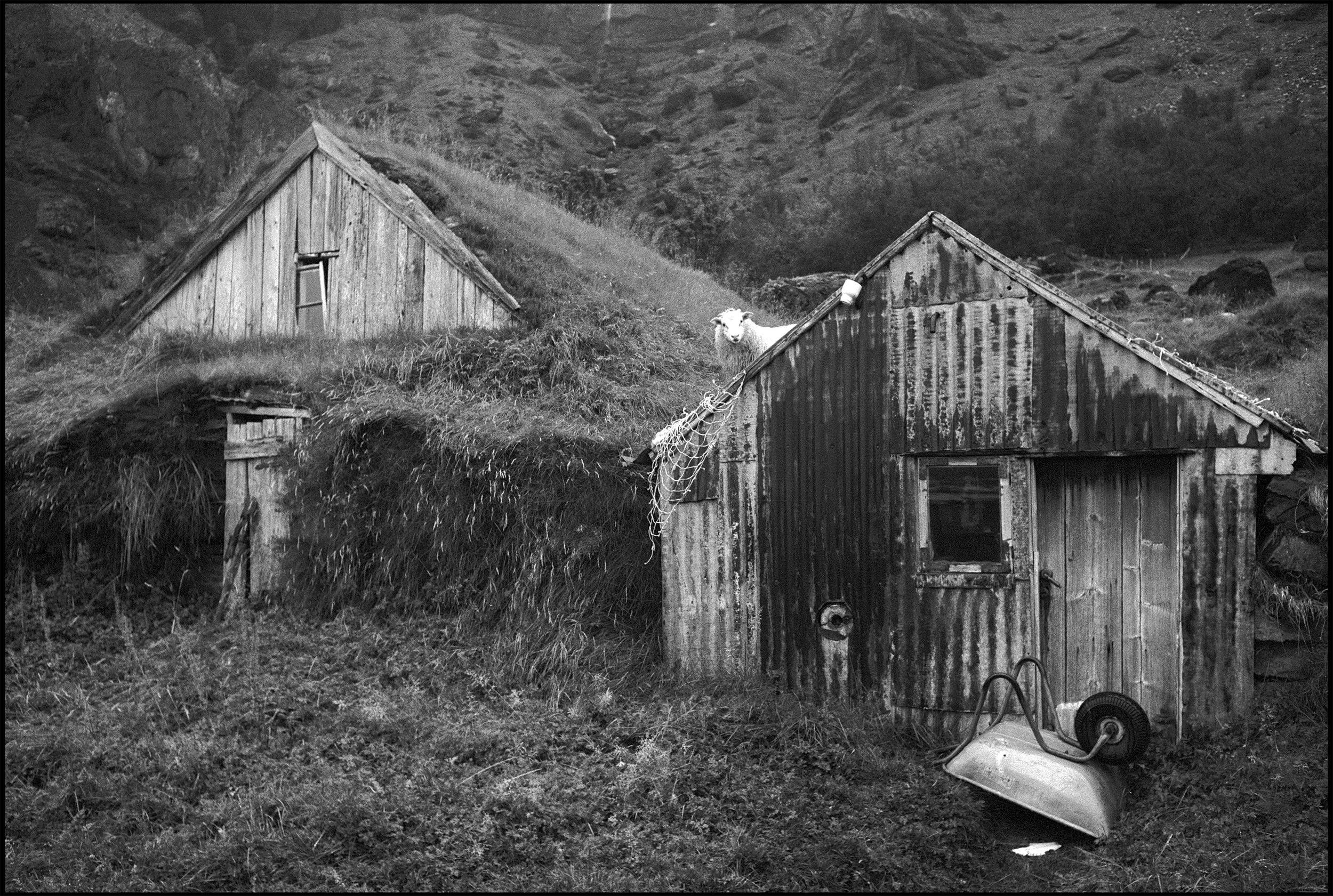 Nupsstadur, Iceland 2000 (323-008) FP4 / Leica IIIa / 35mm Leitz Summaron f3.5