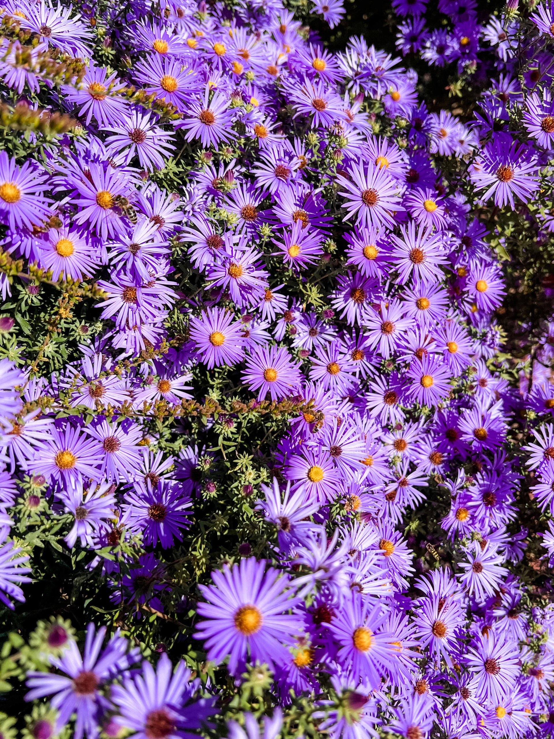 Elevae_23_006567-1-scaled-1.jpg