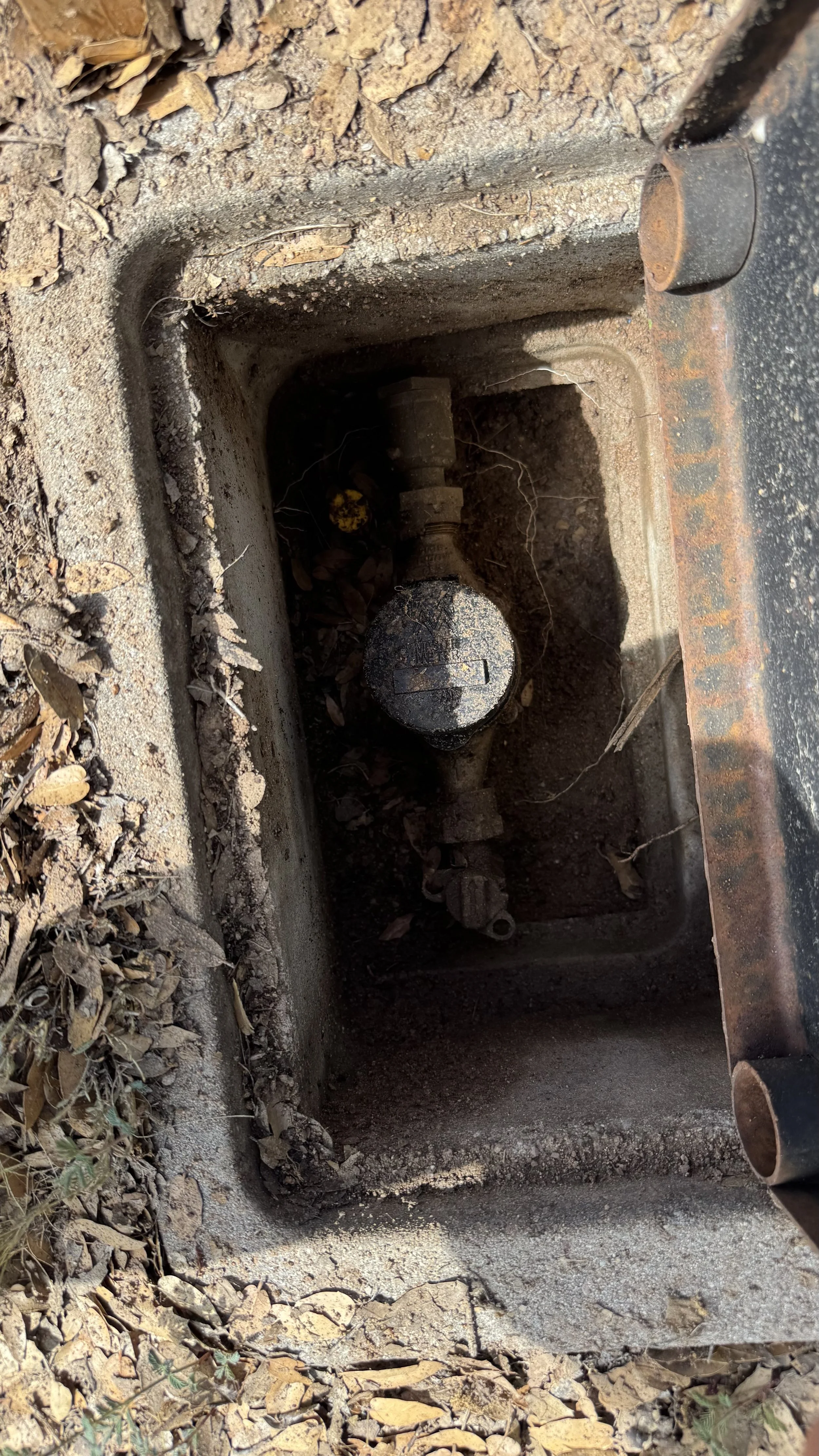 Water box after cleaning