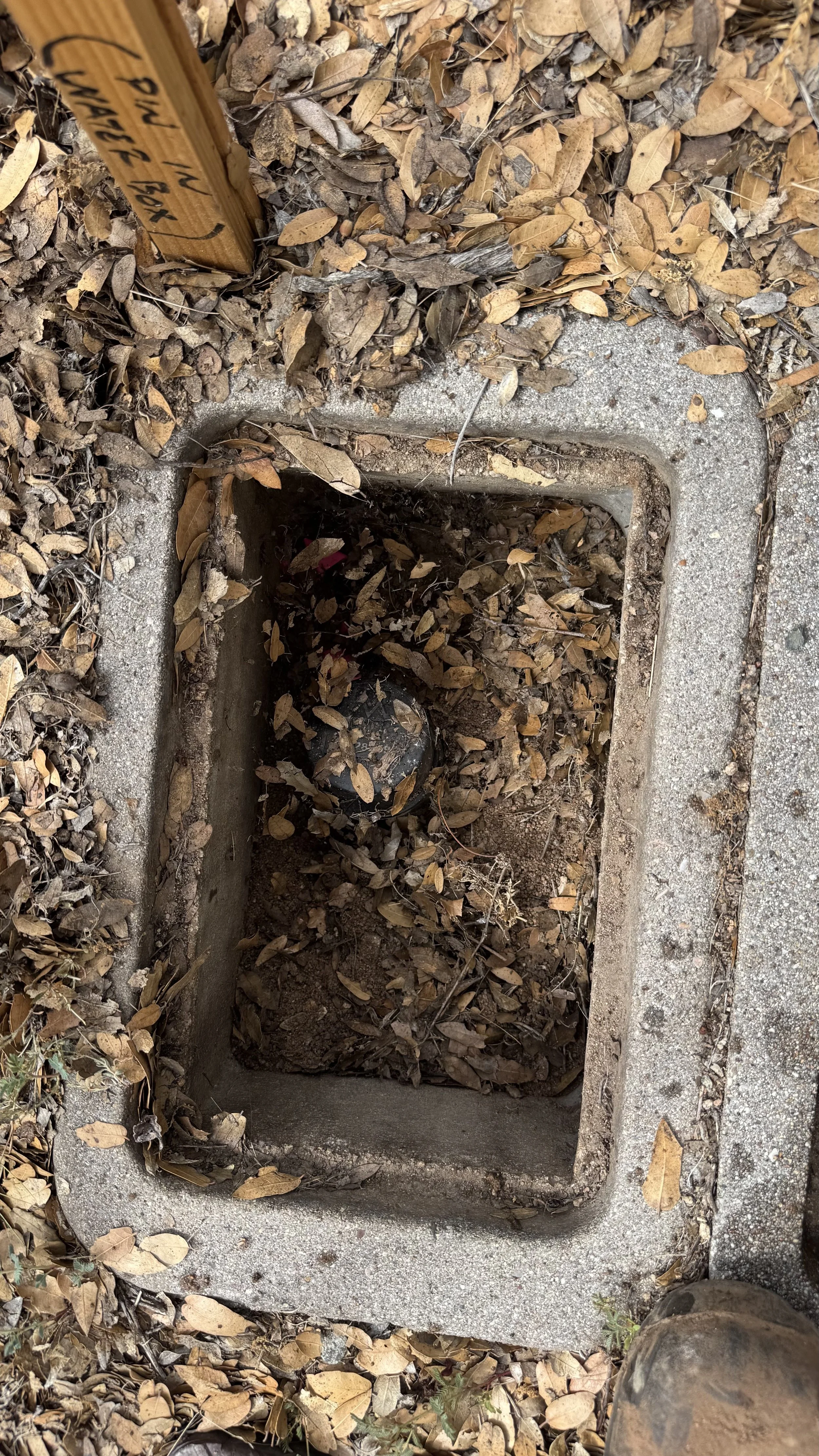 Water box before cleaning