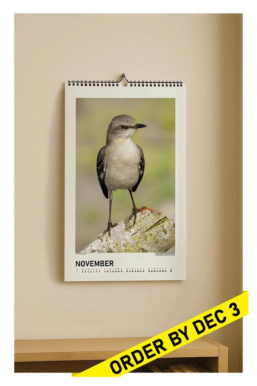 BirdCalendar-2026-2x3-MockingbirdOrderBanner.jpg