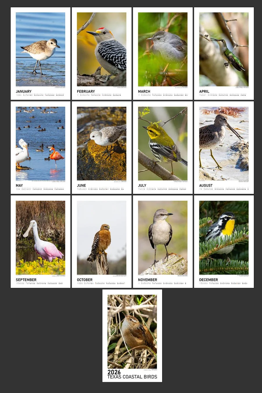 BirdCalendar-2026-2x3PageDisplay.jpg
