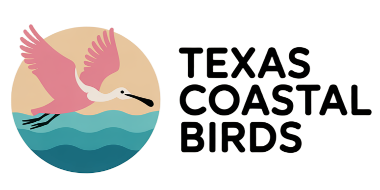 Texas Coastal Birds