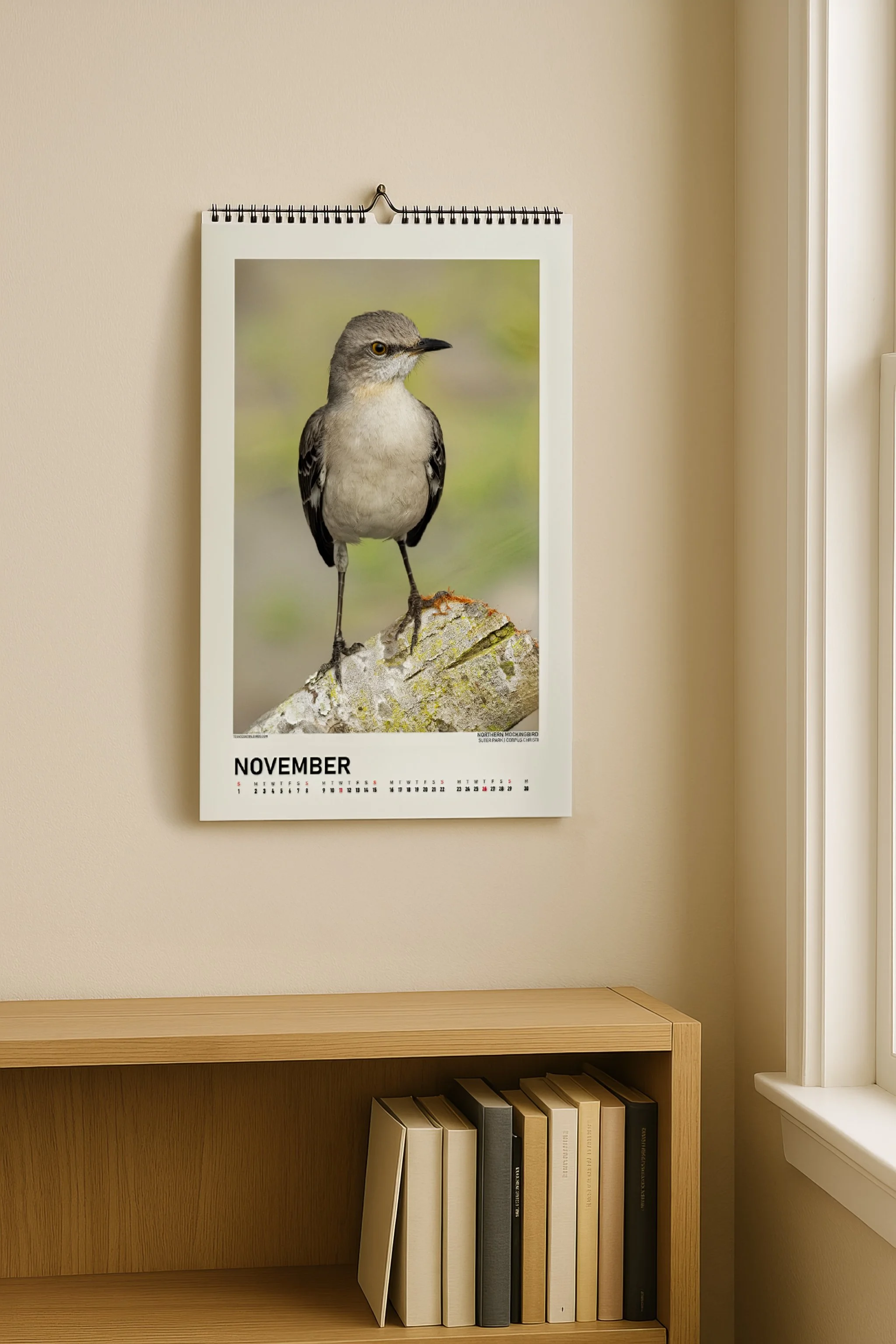 TexasCoastalBirds-2026CalendarMockup-Bookshelf-NovemberMockingbird copy.jpg