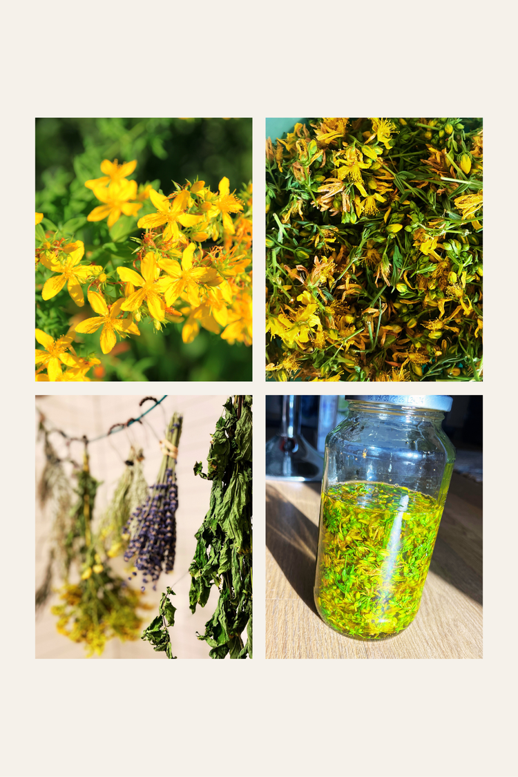 From Fire to Earth: Change is the Season