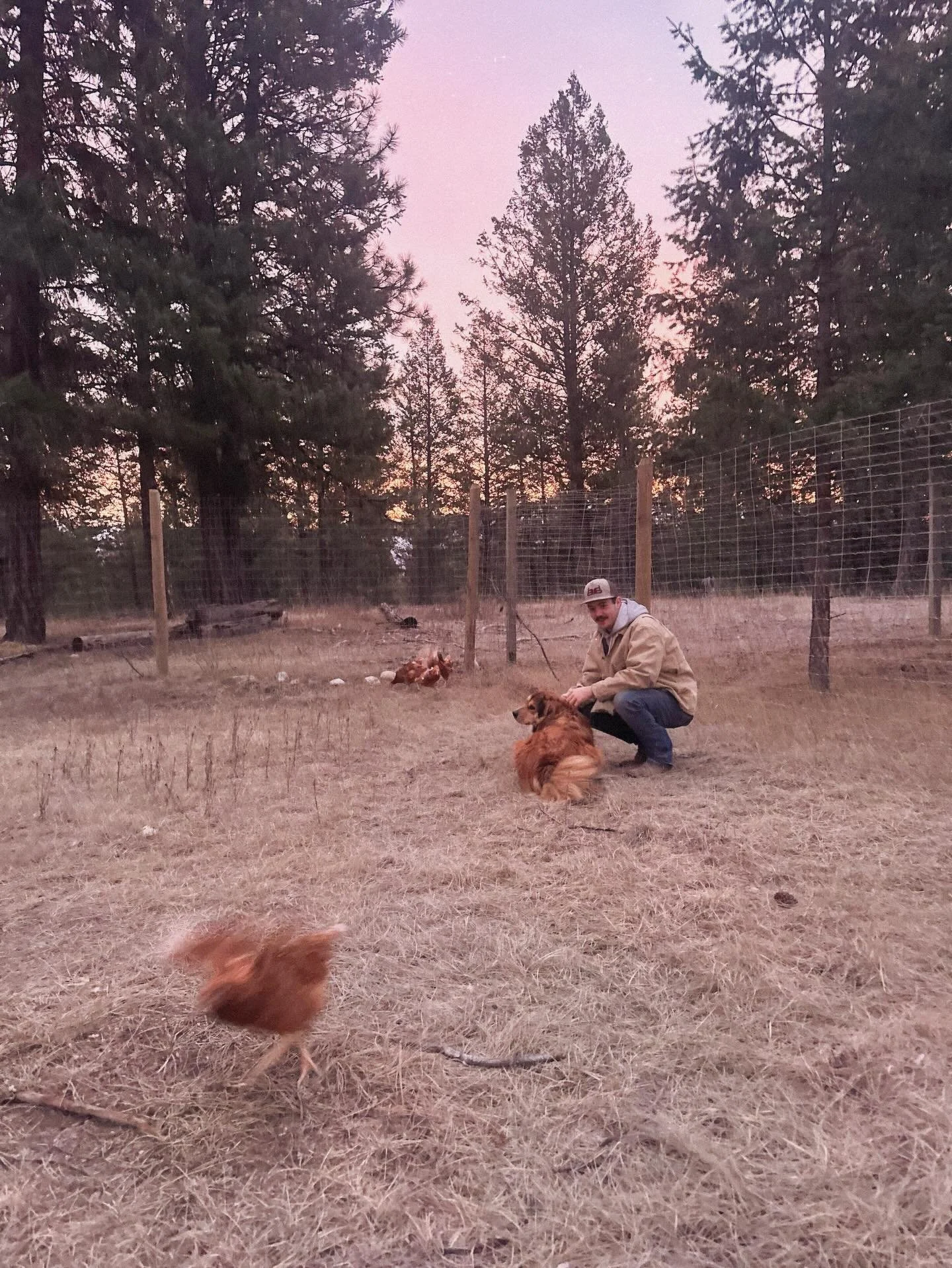 Lucas hanging with Molly while she learns her new job&mdash;official chicken guardian &mdash;and a sweet moment with Monty, because family time is everything

#FlowerAndFly #FamilyLove #ChickenLife #HatchingSoon