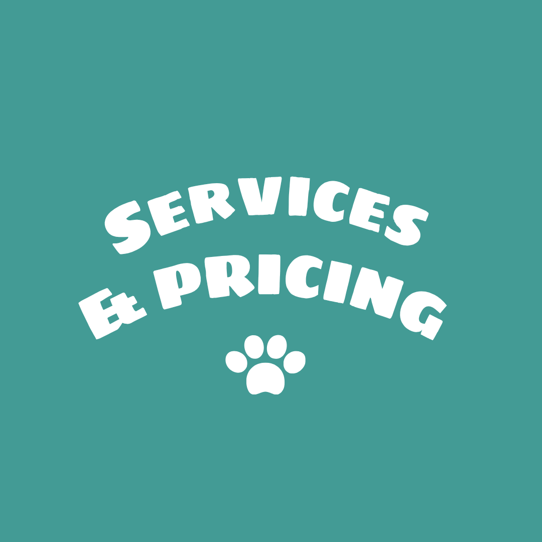 Logo with the words 'Services & Pricing' in white text and a paw print in the center on a teal background.