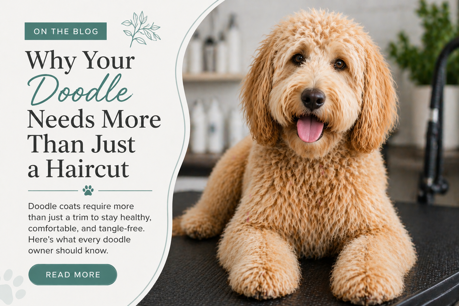 Why Your Doodle Needs More Than Just a Haircut