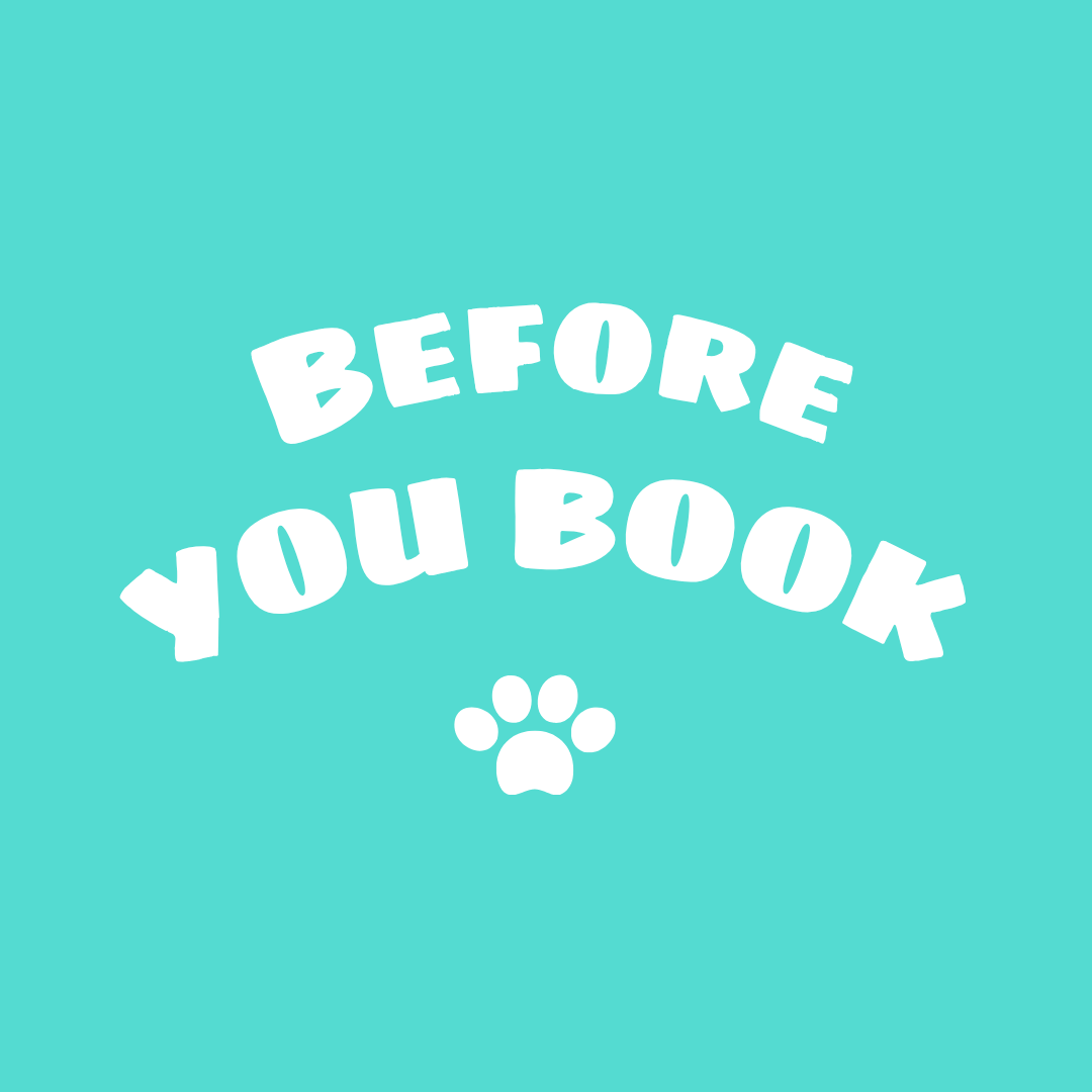 A light blue background with white text that reads "BEFORE YOU BOOK" and a small paw print below the text.