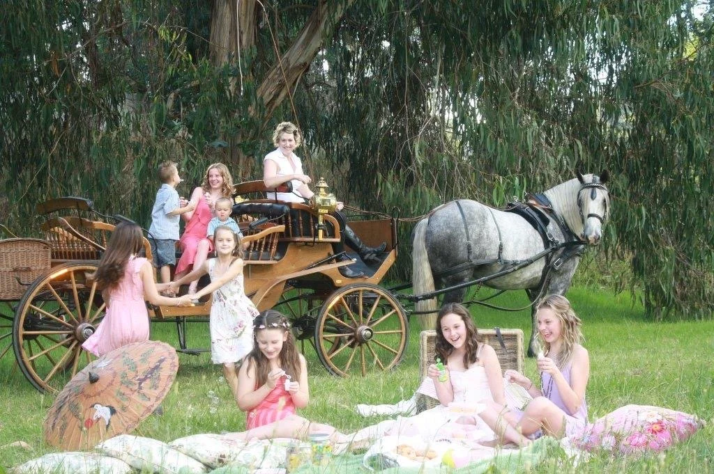Group of people having a picnic next to a horse-drawn carriage with a gray horse in a wooded area.