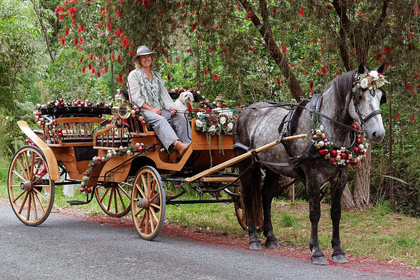 About — Classic Carriage Drives