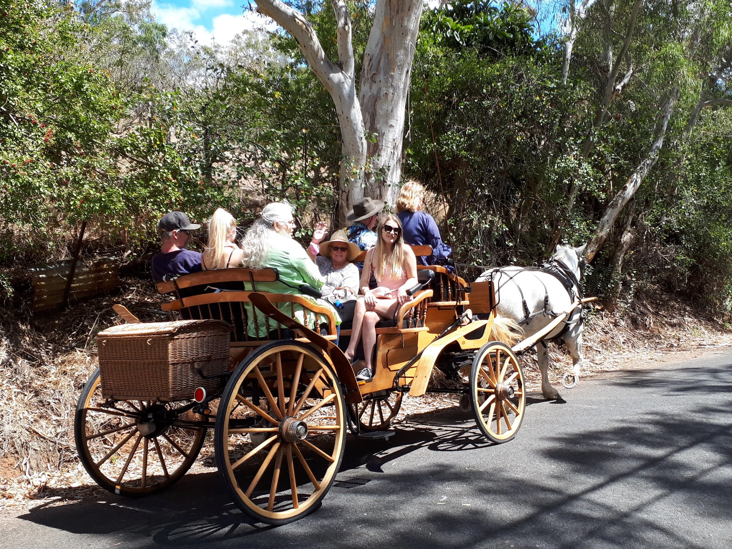 Group of people enjoying a horse-drawn carriage ride in a rural setting with trees and shrubs.