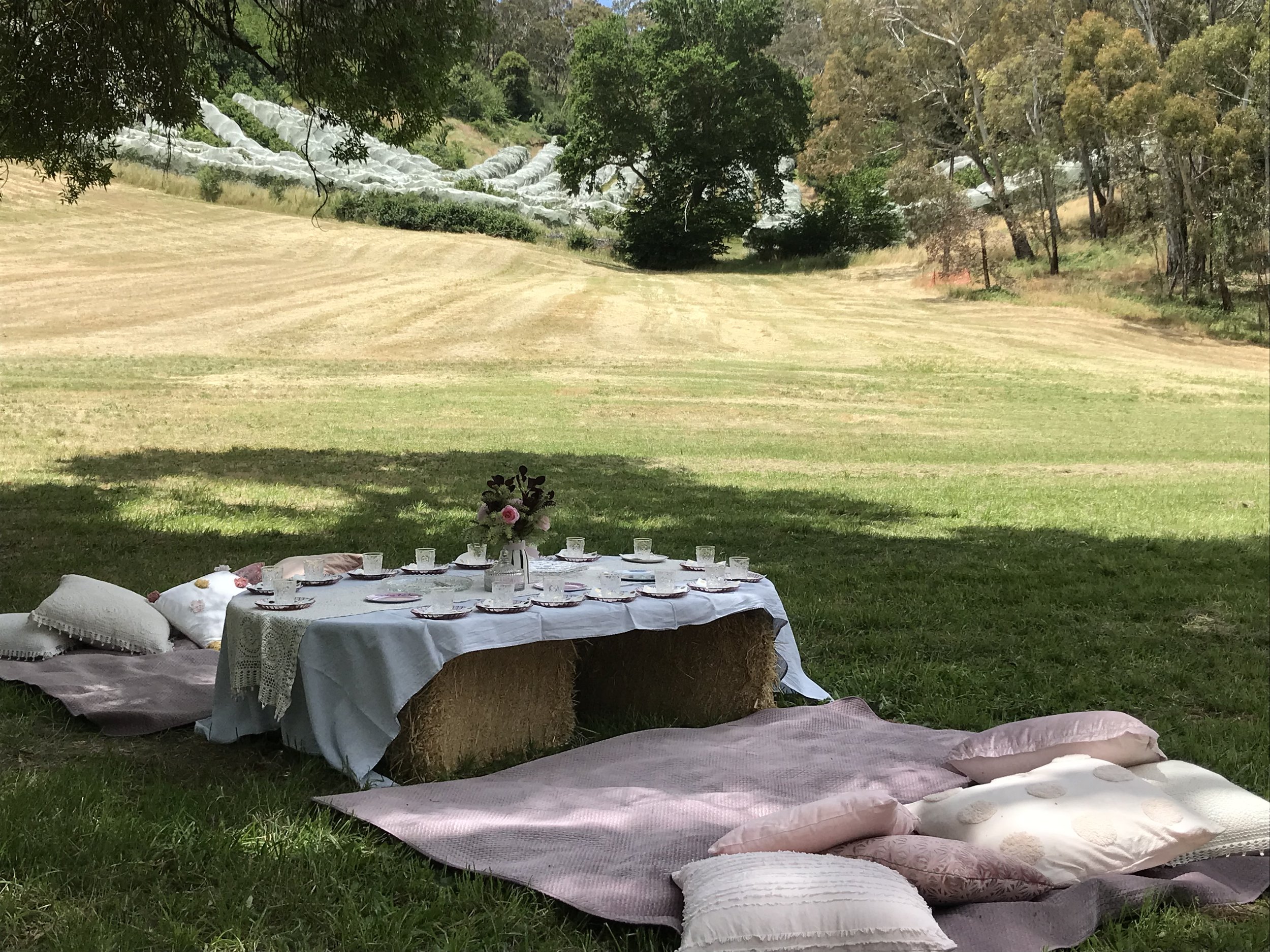 Outdoor picnic setup with a table covered in a white cloth, surrounded by cushions on a grass field. The table is set with glassware and flowers, and hay bales are used as seating. Trees and a rolling landscape are visible in the background.