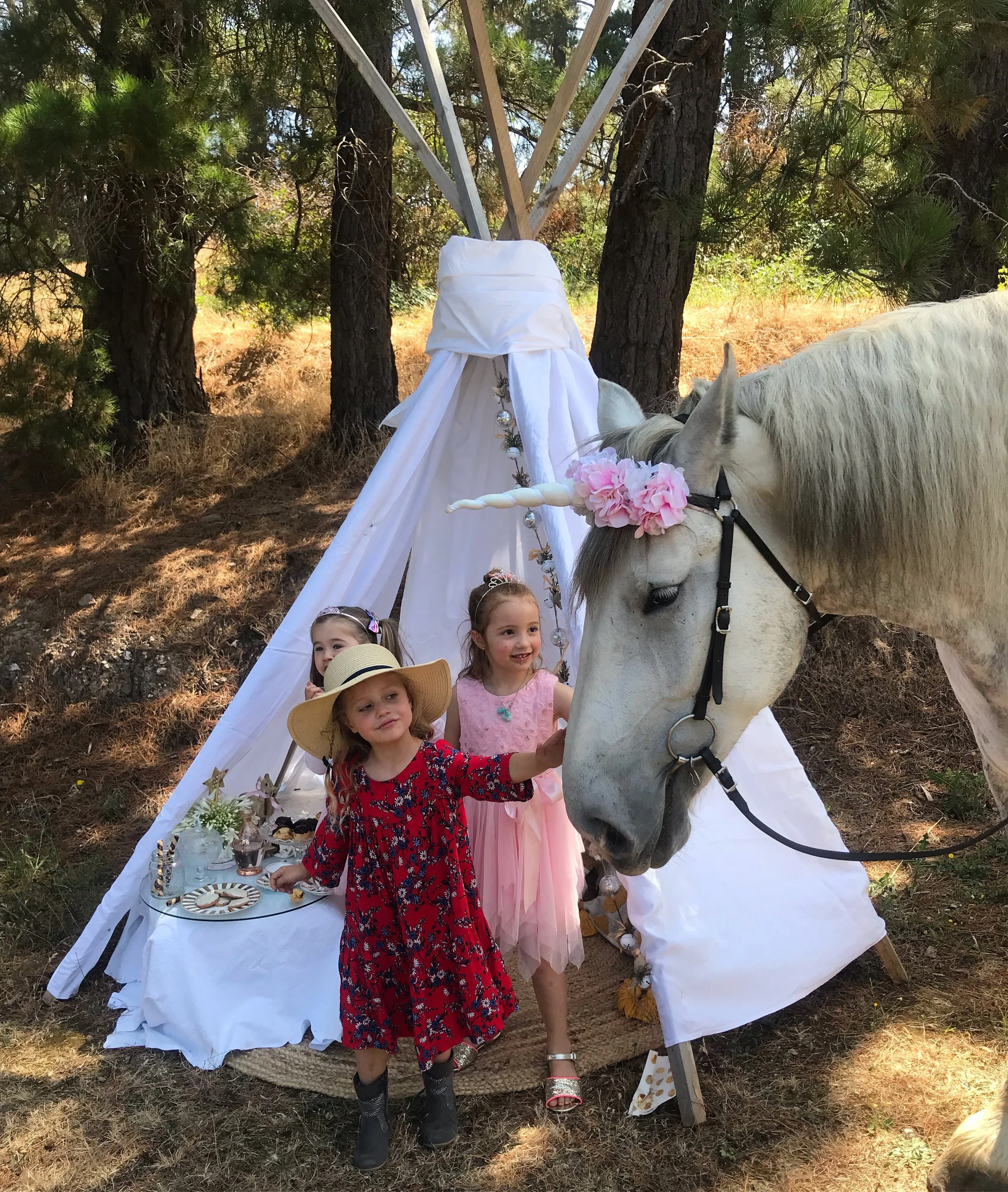 Unicorn Tea Party, Childrens Birthday Parties, event hire, snack and nibbles, birthday events, horse, unicorn, family firendly, pet friendly, farm animal hire, Adelaide Events, South Australian events 