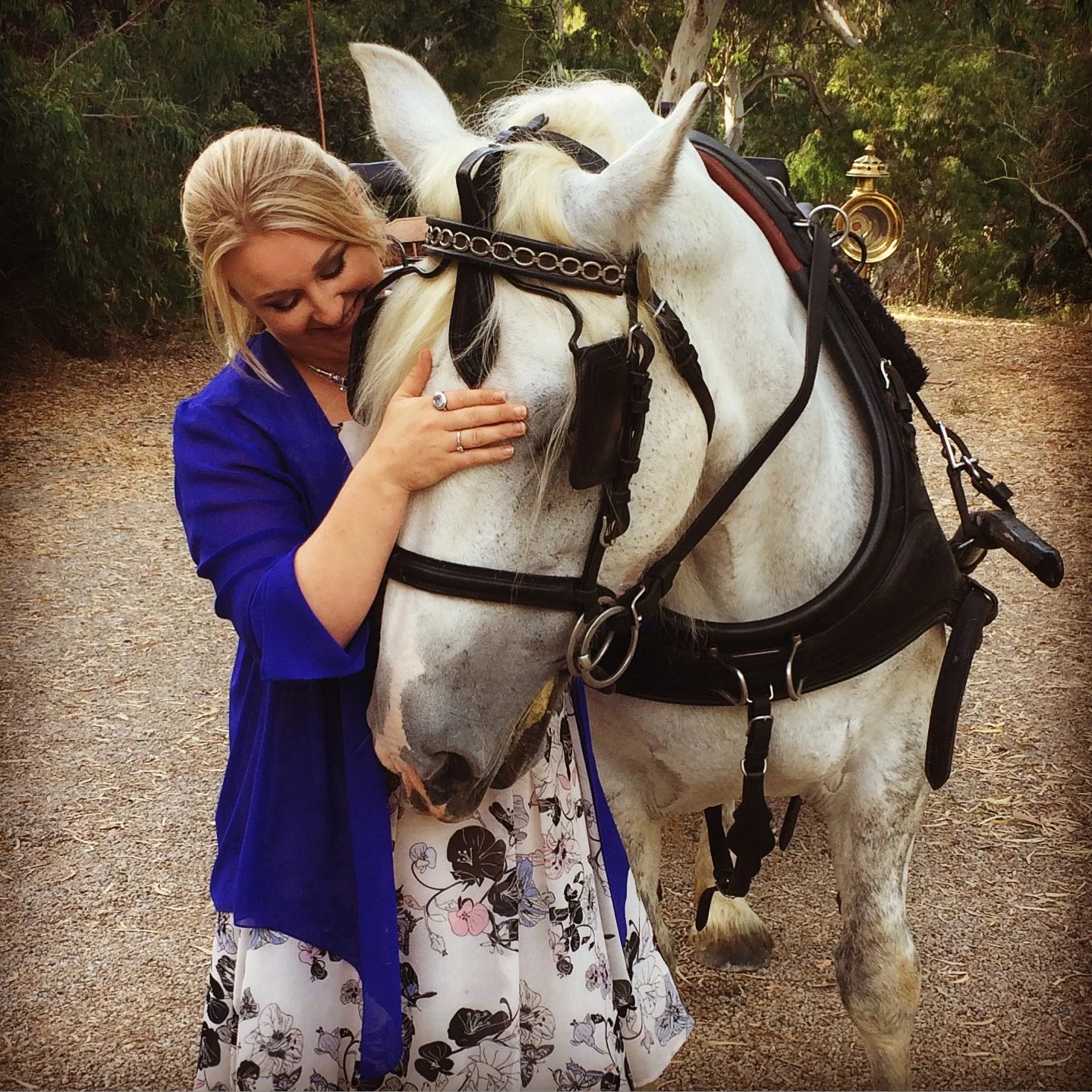 Woman in blue jacket hugging a white horse with black harness outdoors.