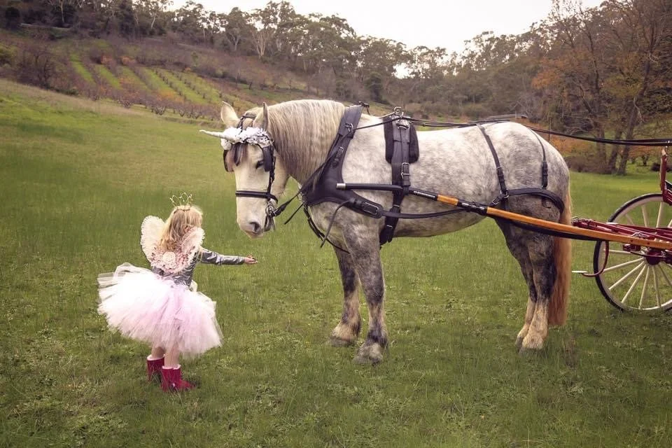 A young child dressed as a fairy in a pink tutu and wings is reaching out to a horse with a unicorn horn attached to its forehead. The horse is harnessed to a carriage in a grassy field with trees in the background.