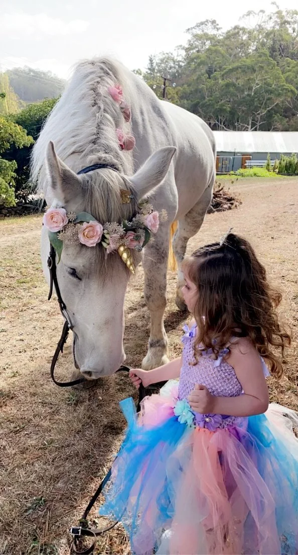 Unicorn Tea Party, Childrens Birthday Parties, event hire, snack and nibbles, birthday events, horse, unicorn, family firendly, pet friendly, farm animal hire, Adelaide Events, South Australian events 