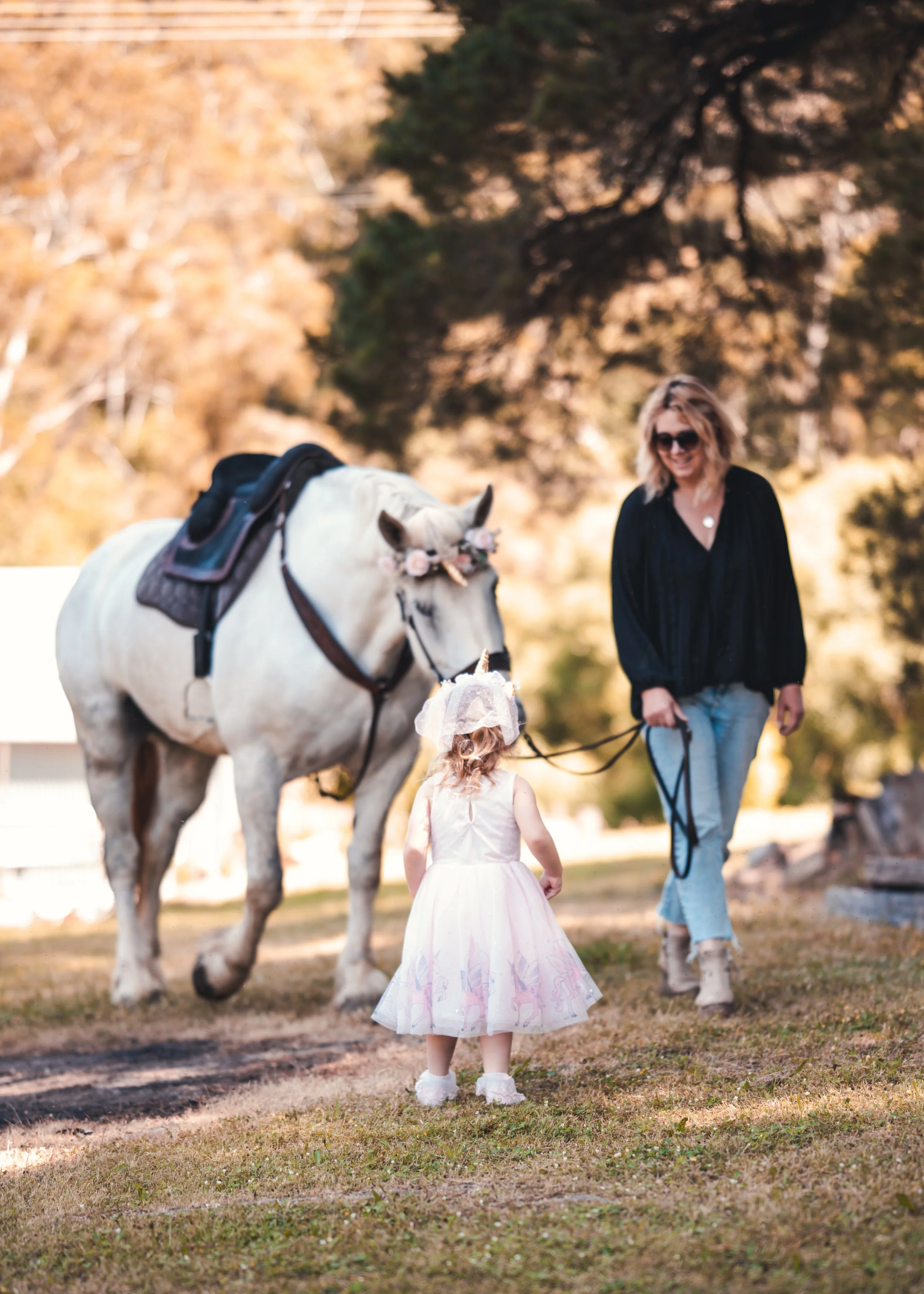 Unicorn Tea Party, Childrens Birthday Parties, event hire, snack and nibbles, birthday events, horse, unicorn, family firendly, pet friendly, farm animal hire, Adelaide Events, South Australian events 