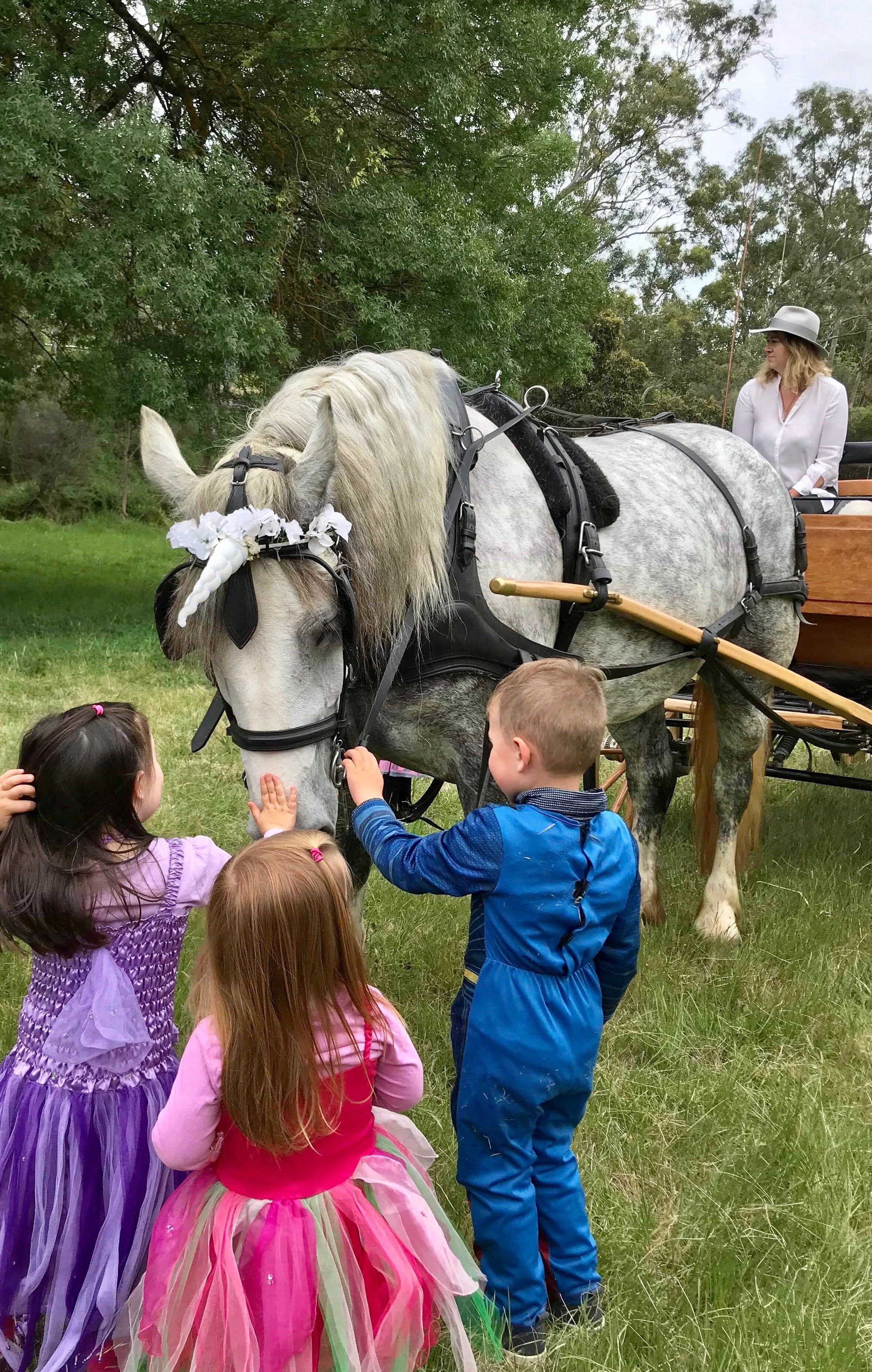 Children in costumes petting a white horse with a costume horn, outdoors, with a woman in a hat sitting in a carriage.