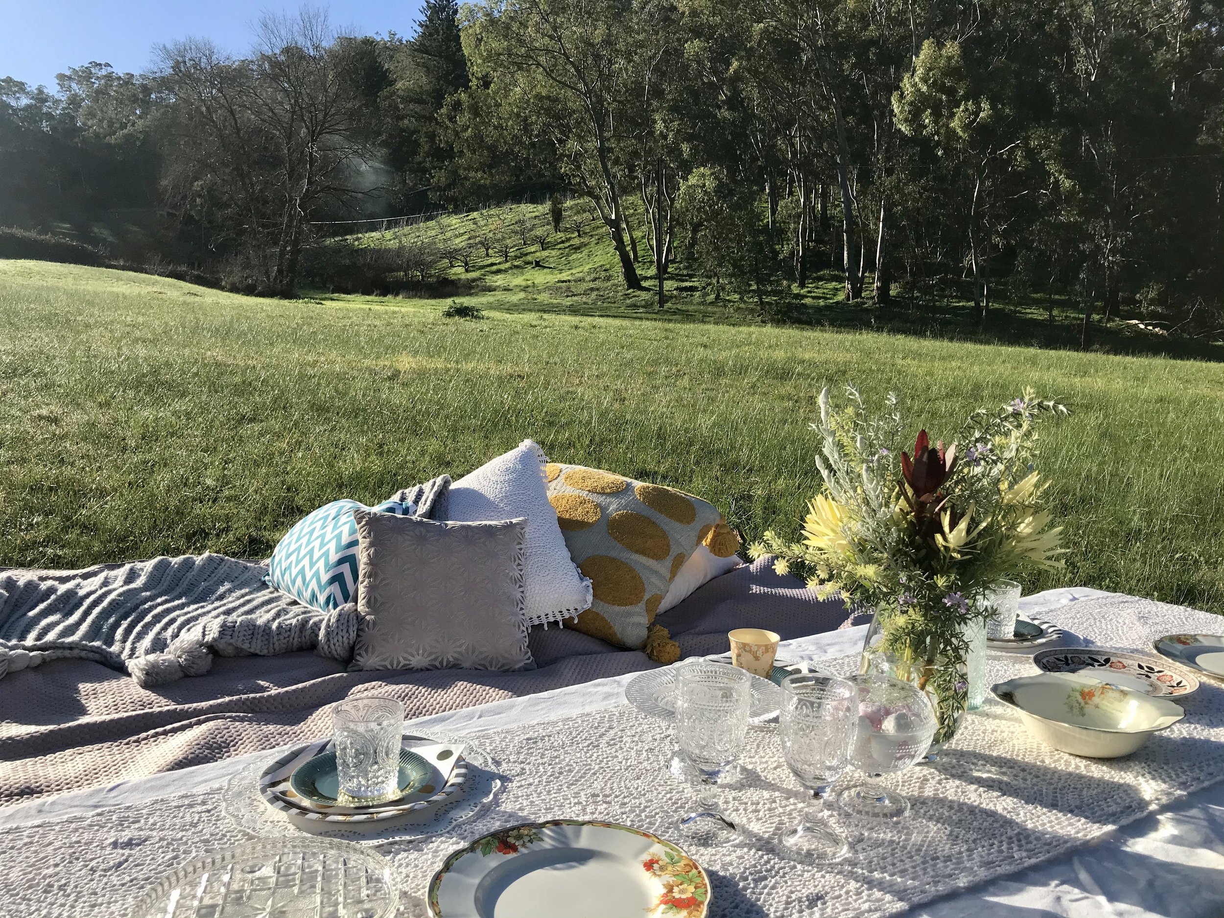 Scenic outdoor picnic setup with pillows, blankets, and a table adorned with glassware, plates, and a vase of flowers on a grassy field.