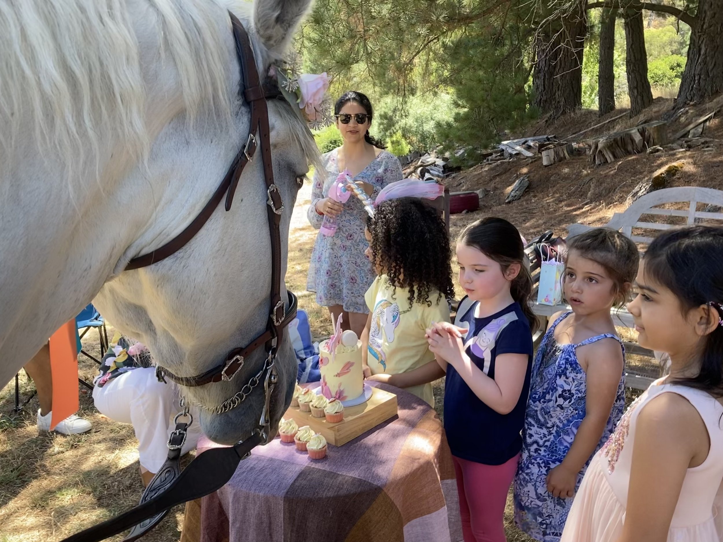 Unicorn Tea Party, Childrens Birthday Parties, event hire, snack and nibbles, birthday events, horse, unicorn, family firendly, pet friendly, farm animal hire, Adelaide Events, South Australian events