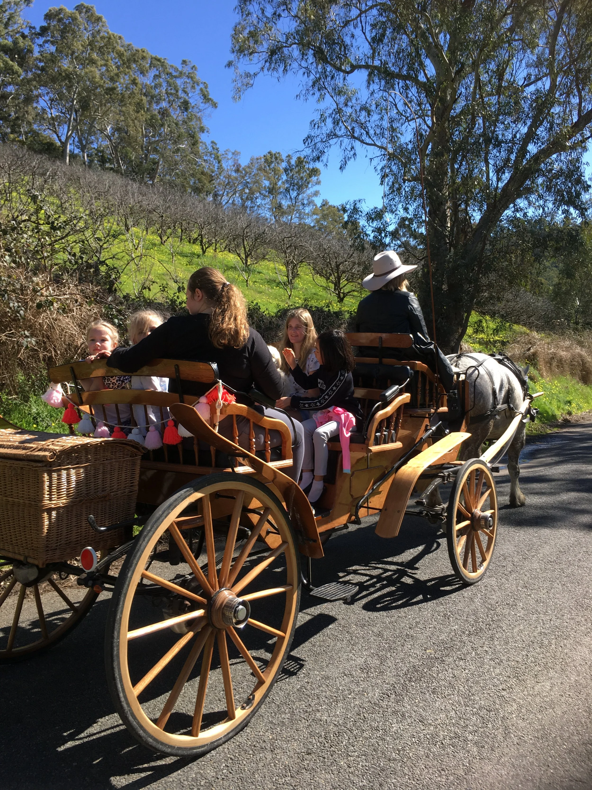 A group of people enjoying a horse-drawn carriage ride on a sunny day, surrounded by greenery and trees.