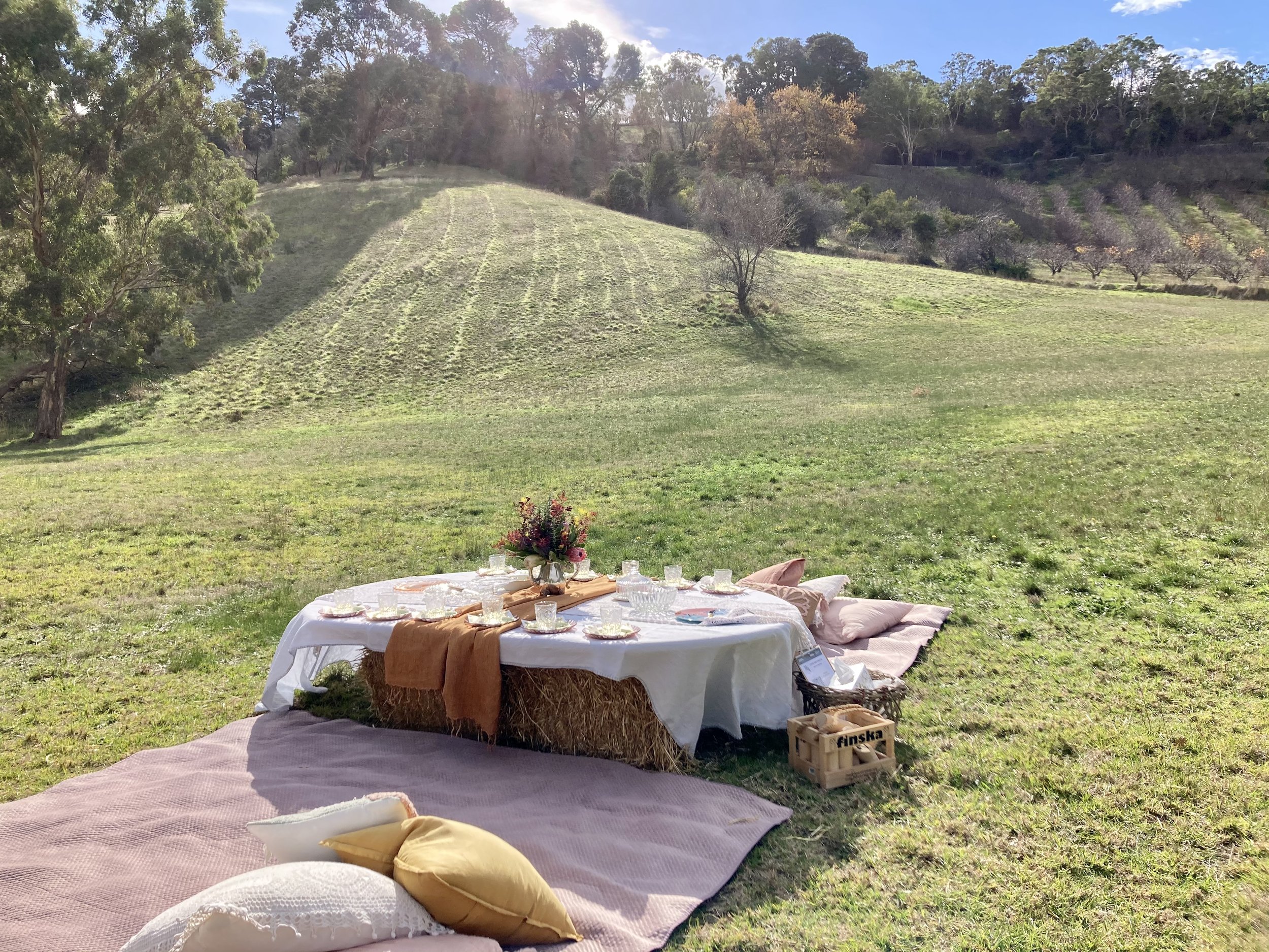 Outdoor picnic setup with table on hay bales, cushions on a blanket, and scenic hillside view with trees.