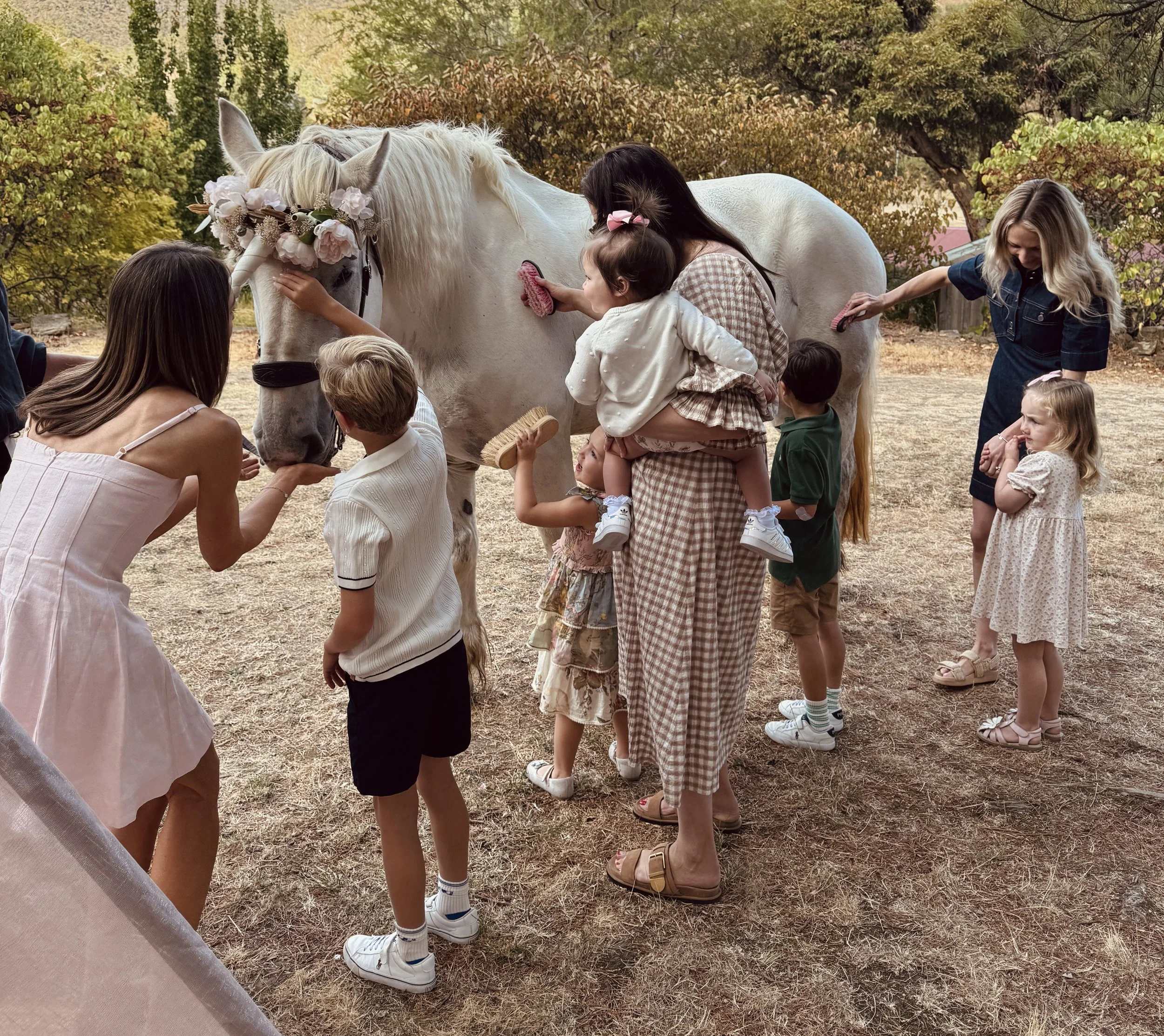 Group of people, including children, feeding and grooming a white horse adorned with a floral headpiece in a natural outdoor setting.