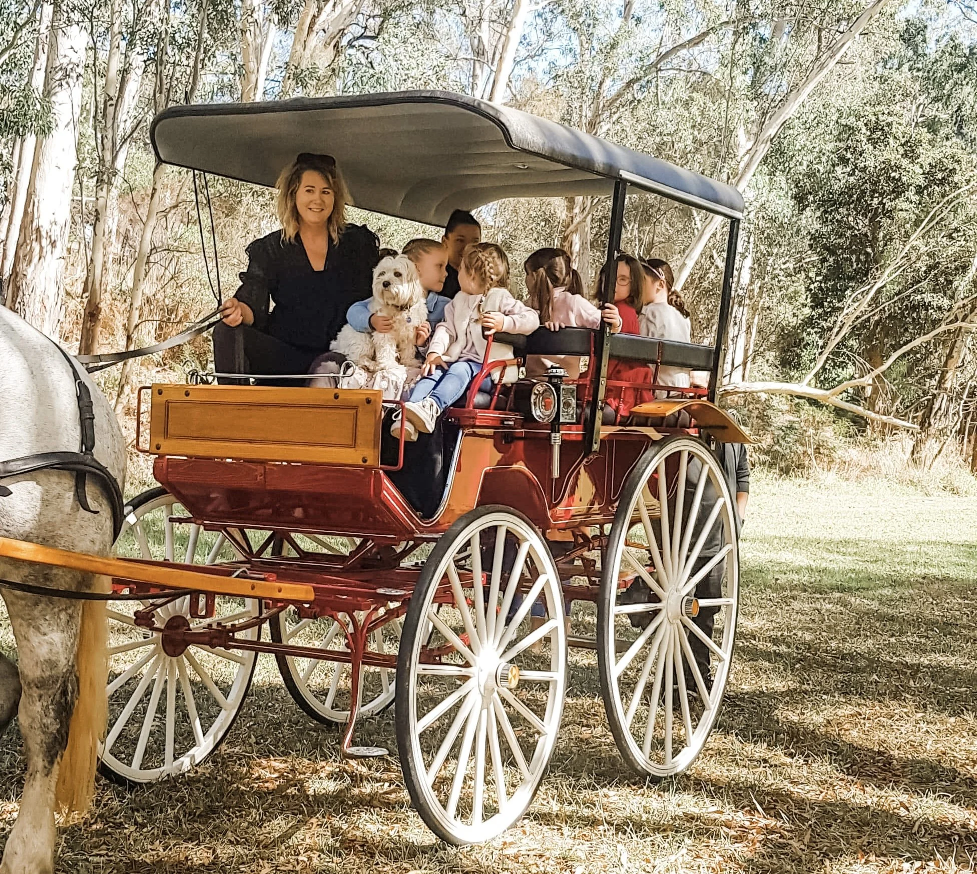 Group of people riding a horse-drawn carriage with a small dog in a scenic outdoor setting.