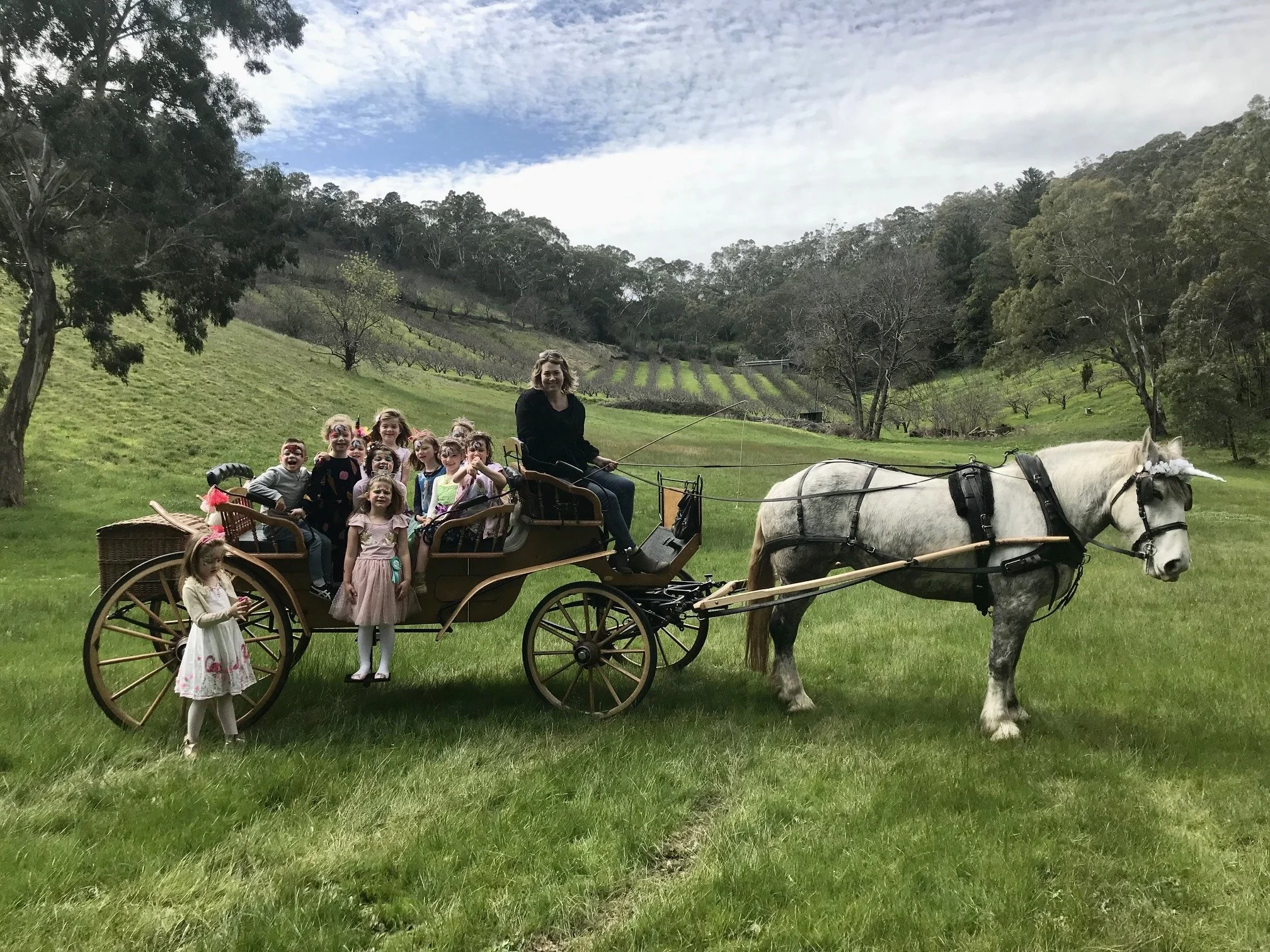 Horse-drawn carriage with children in costumes on a grassy field