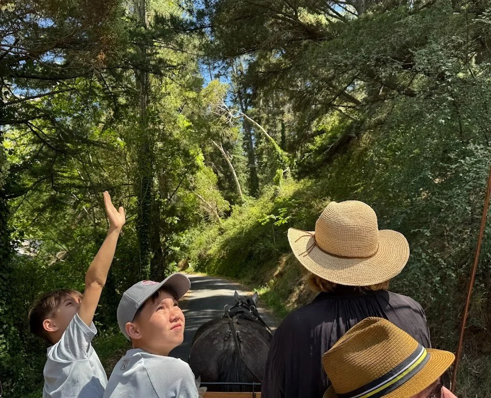 Two children and an adult wearing hats on a horse-drawn carriage ride through a wooded area.