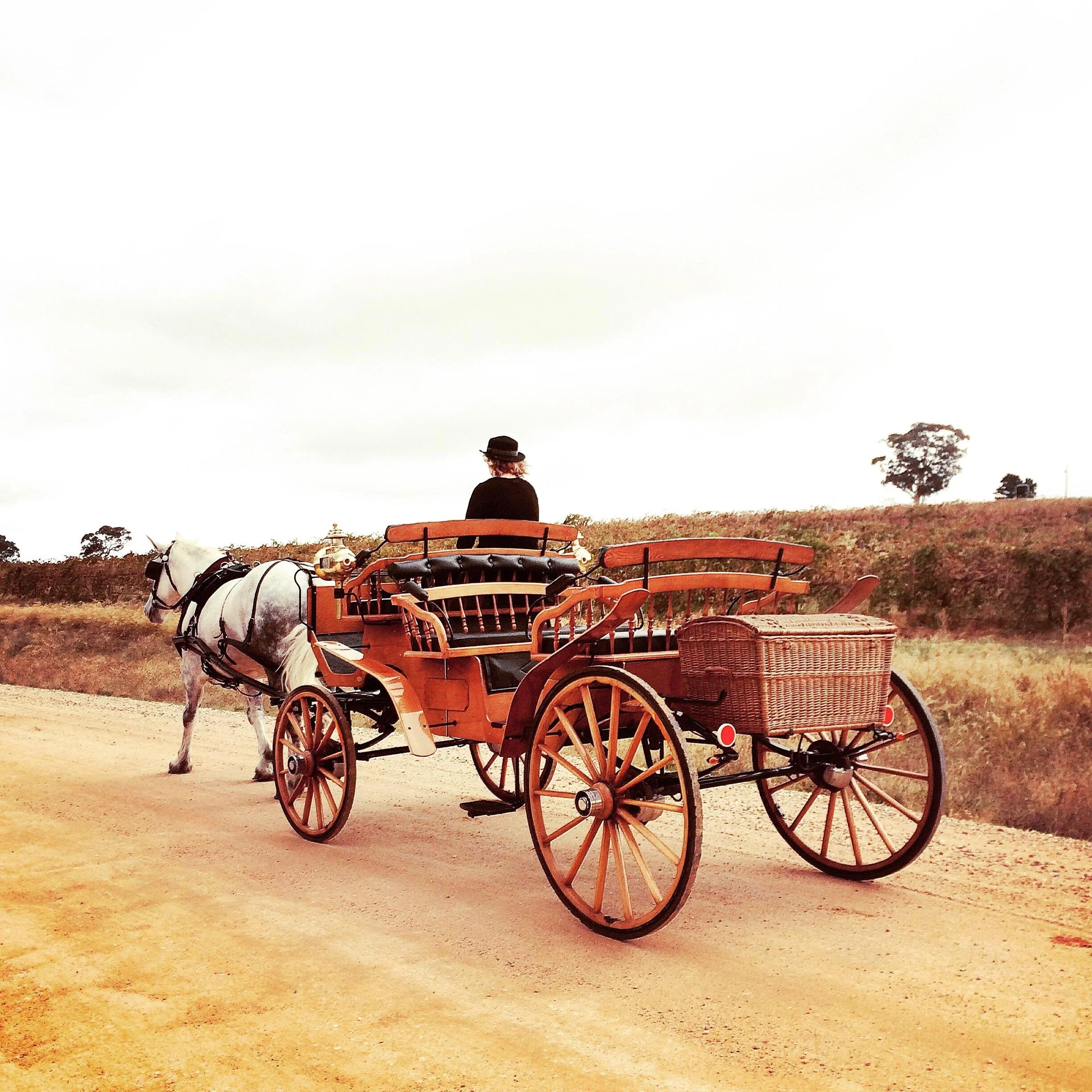About — Classic Carriage Drives