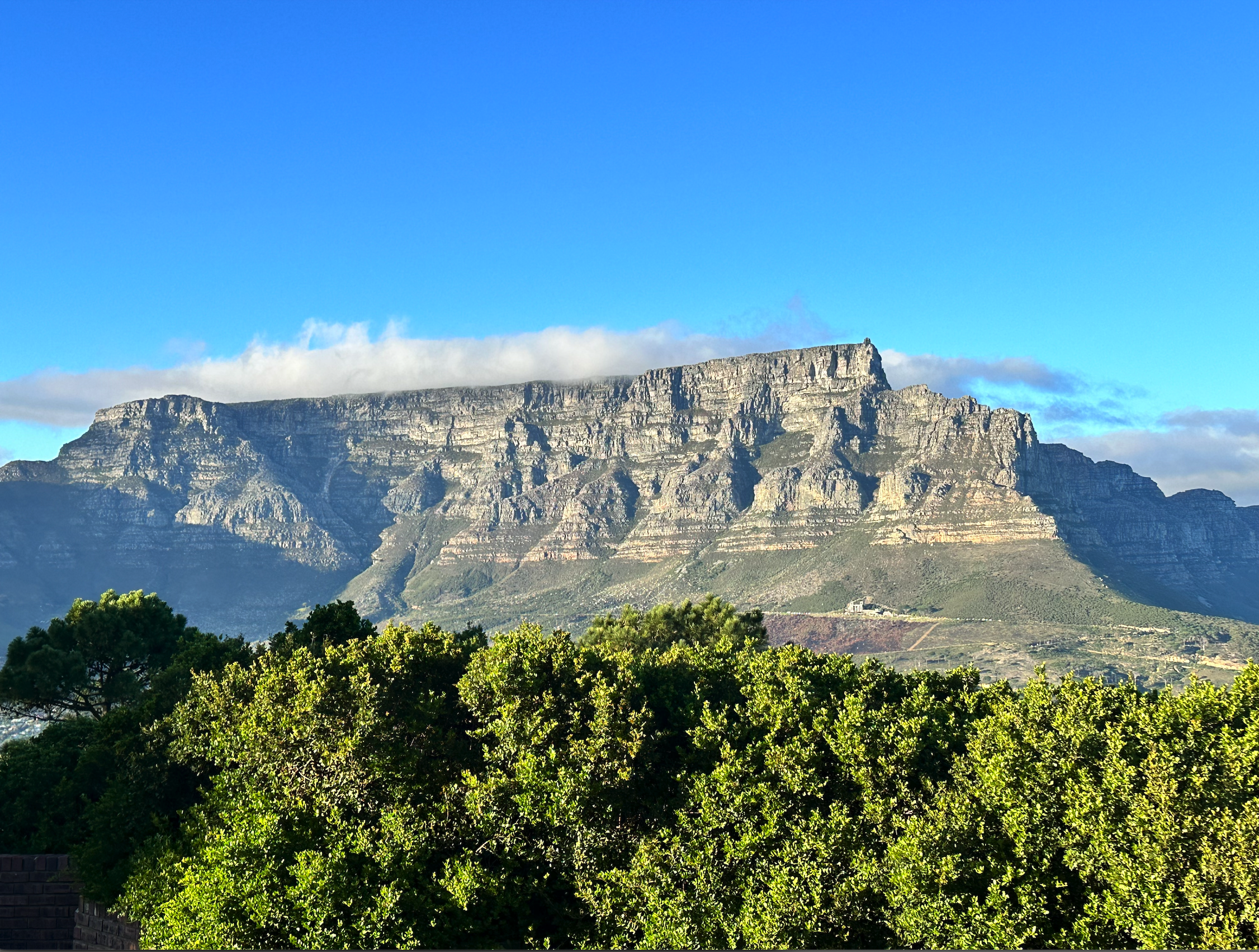 View of Table Mountain with a clear blue sky and green trees in the foreground.