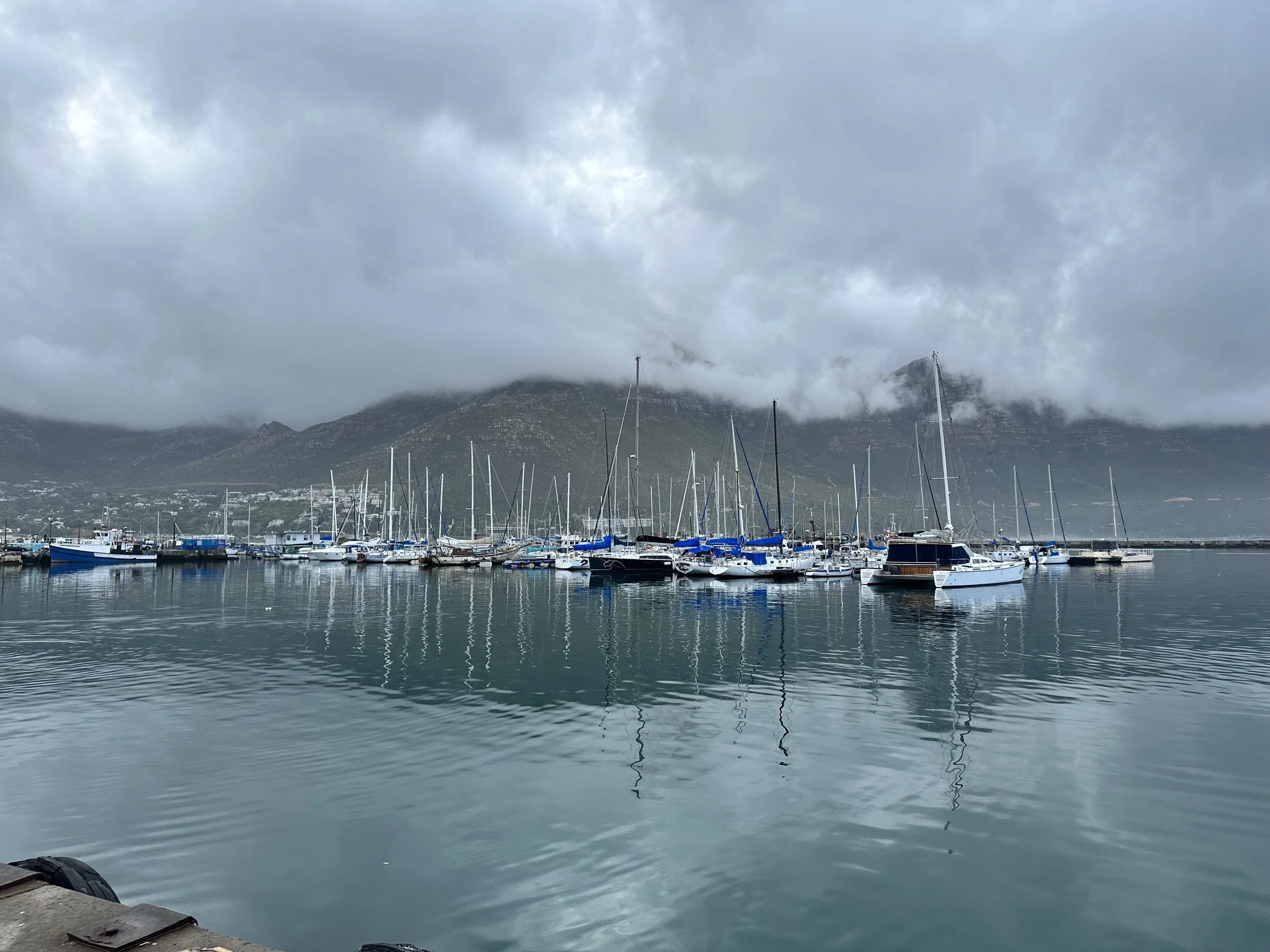 A marina filled with sailboats and yachts docked on calm water, with misty mountains and cloudy sky in the background.