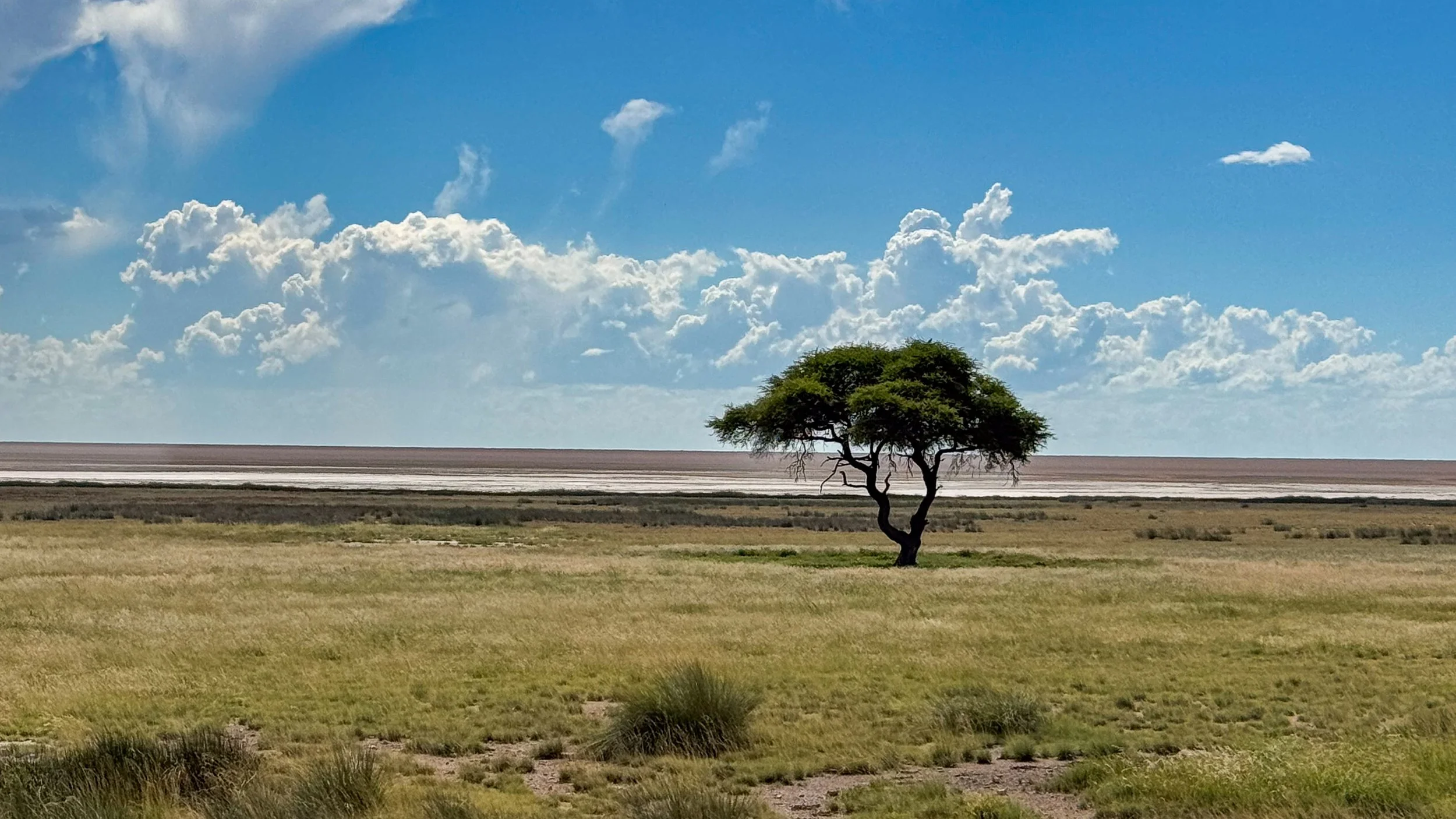 04-16_Etosha_National_Park_51.jpg