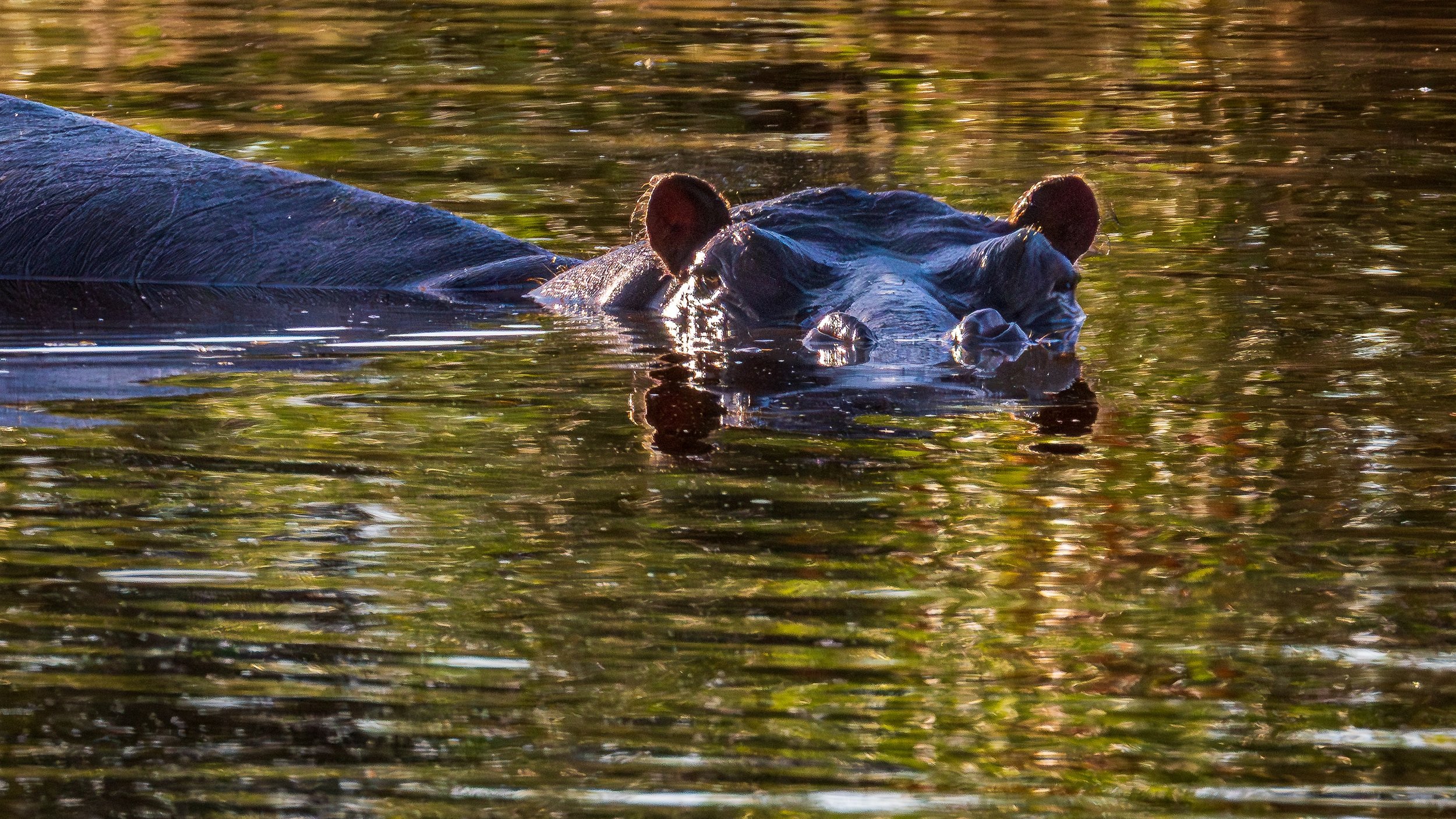 04-21_Mokuti_Lodge_to_Delta_03.jpg