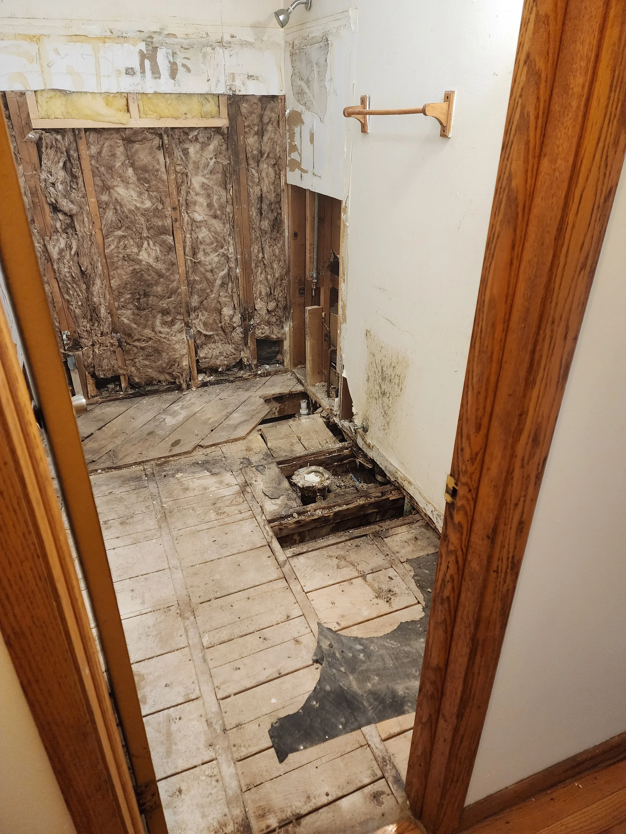 Bathroom Demo Janesville