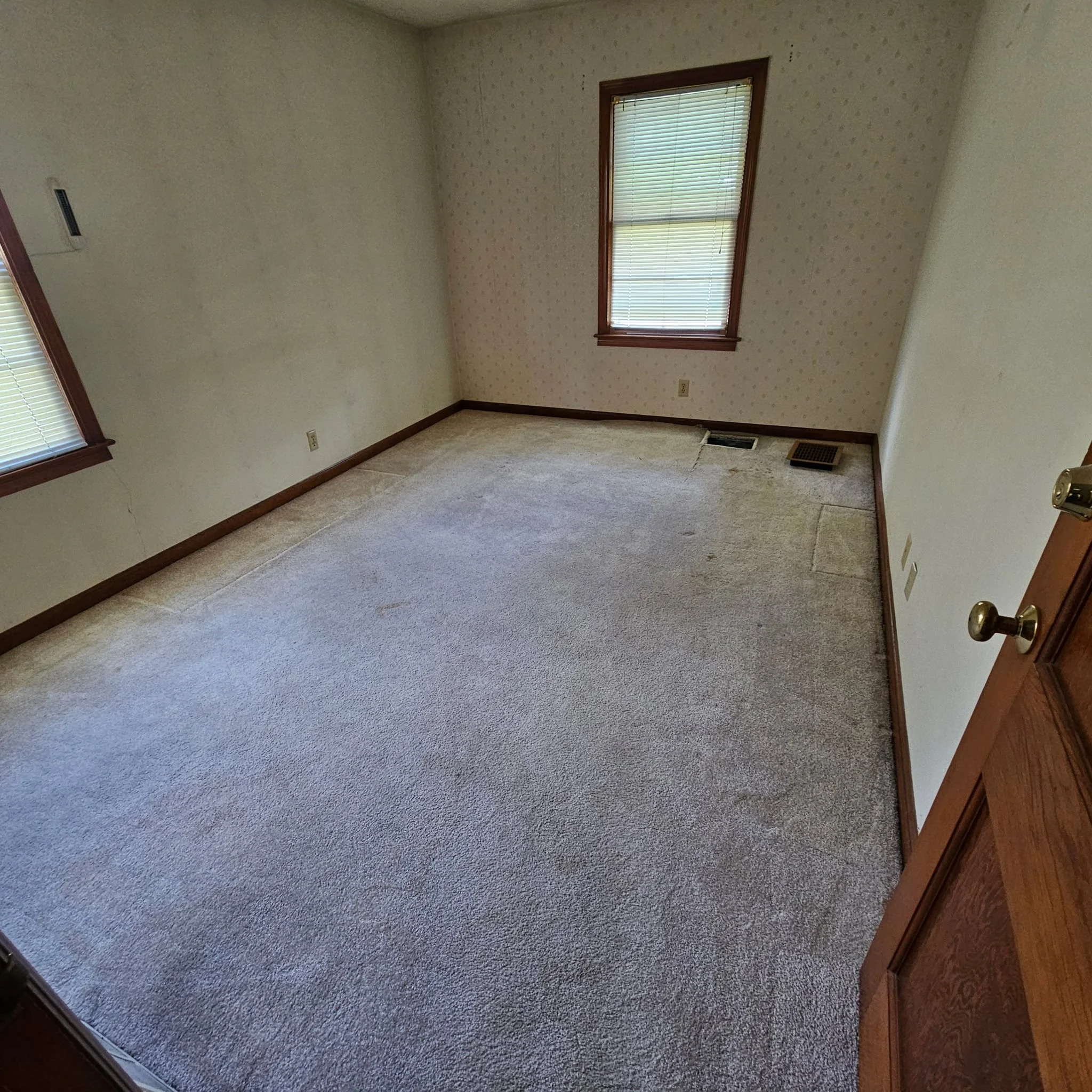 Carpet Removal