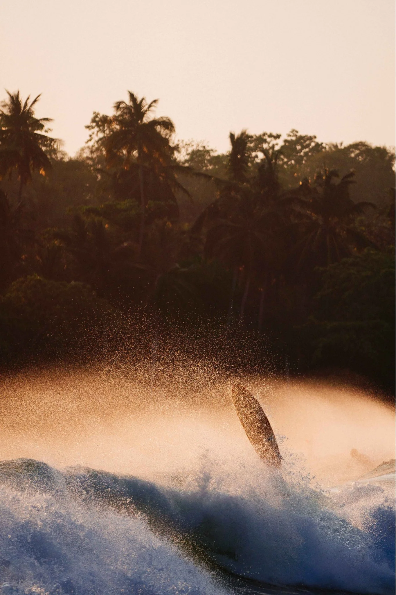 Screenshot 2023-03-30 at 2.03.36 pm.jpg