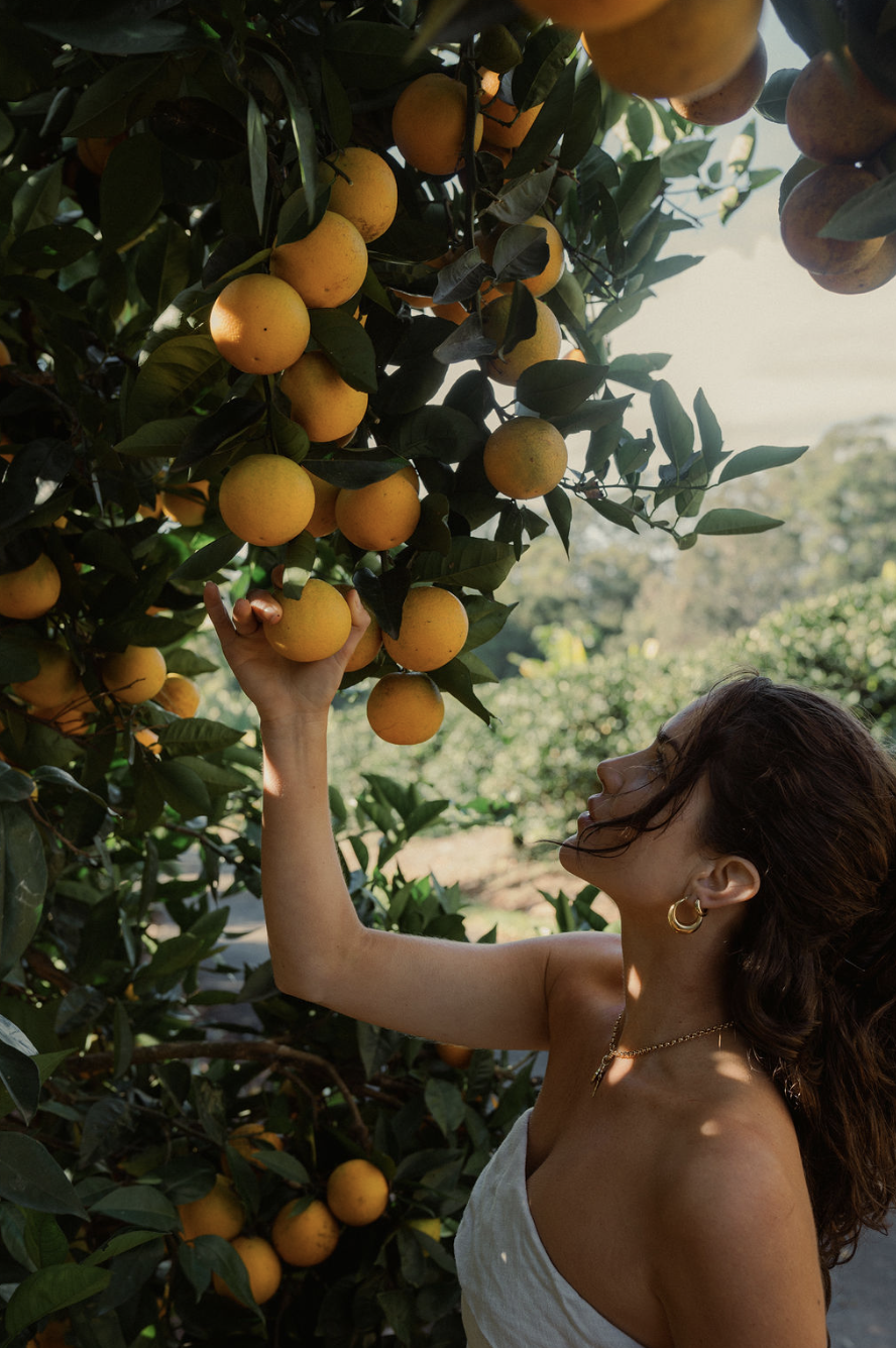 Screenshot 2025-01-22 at 6.25.00 pm.png