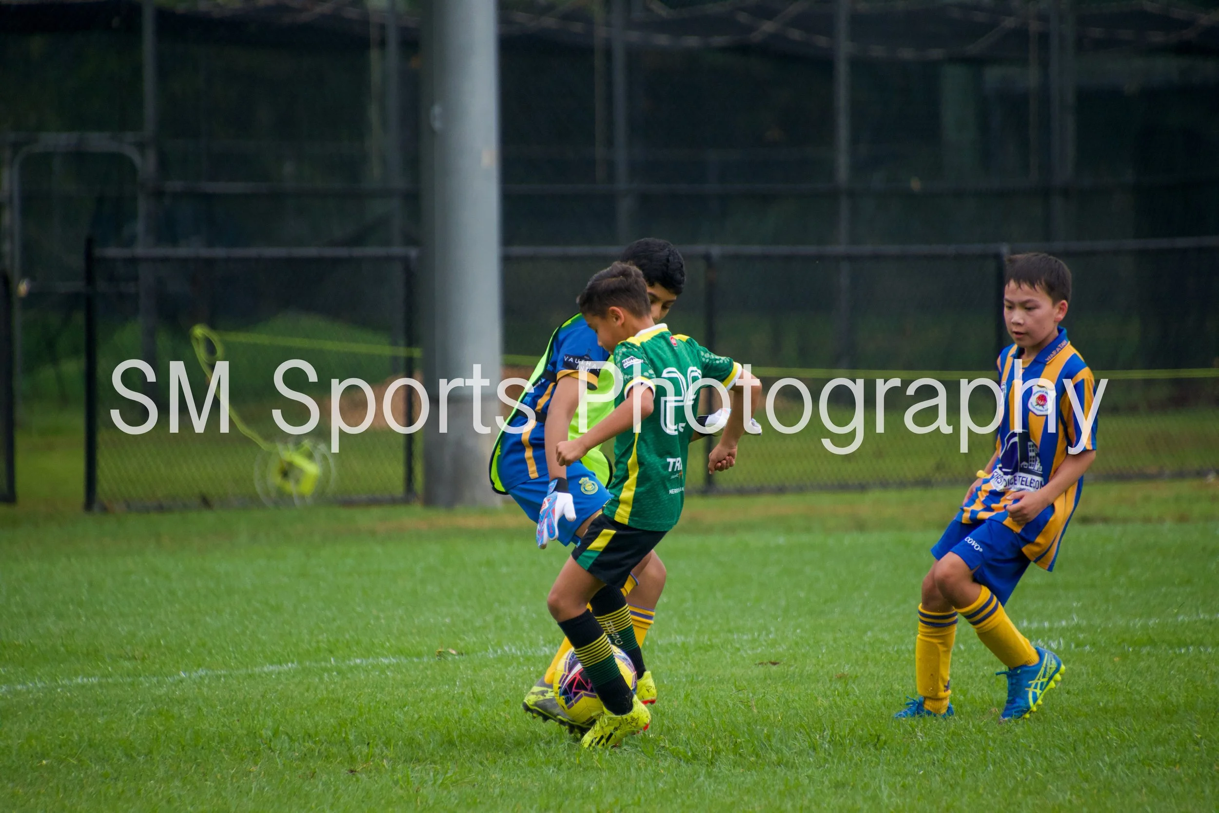 U11 Dolphins - HvG #7