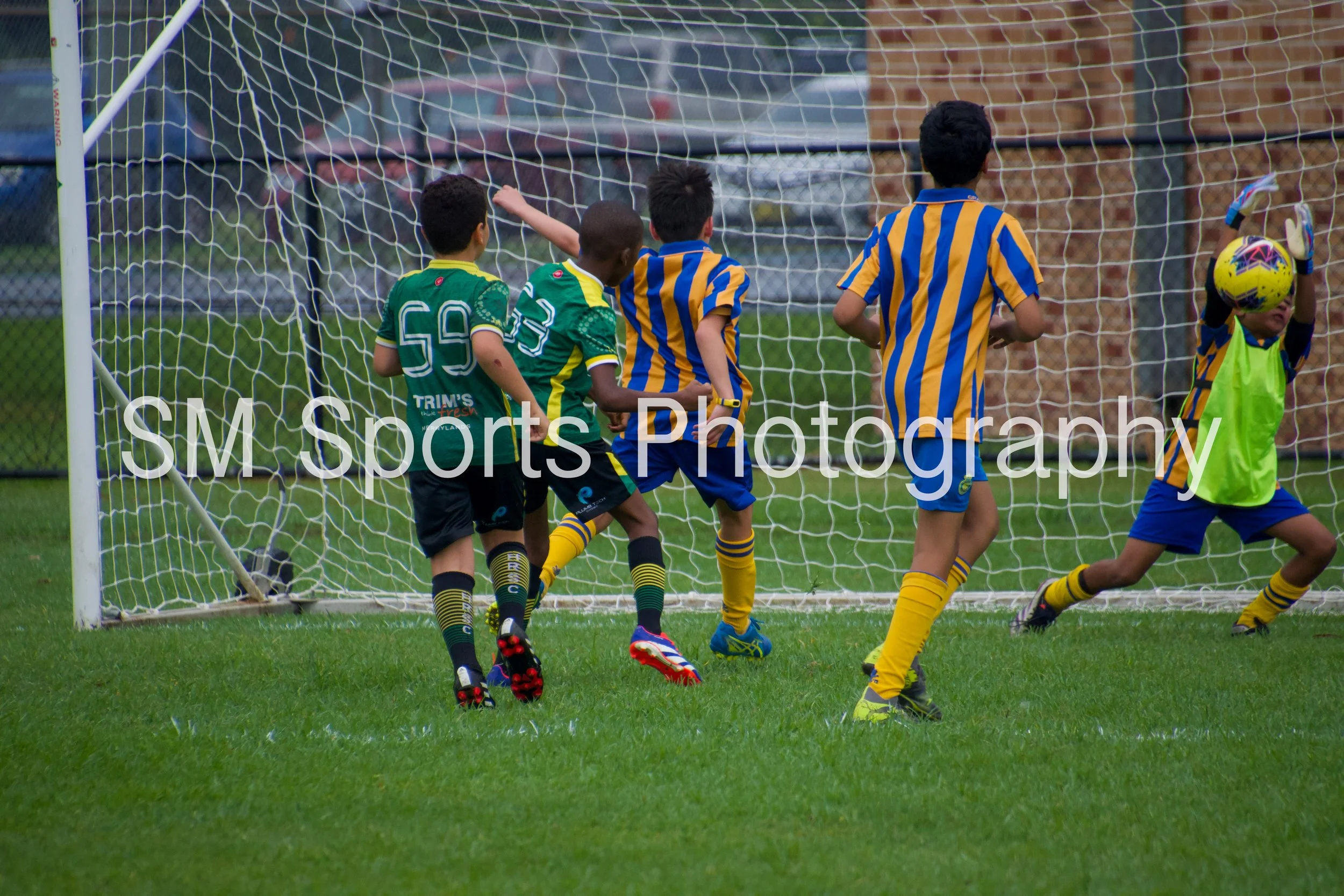 U11 Dolphins - HvG #14