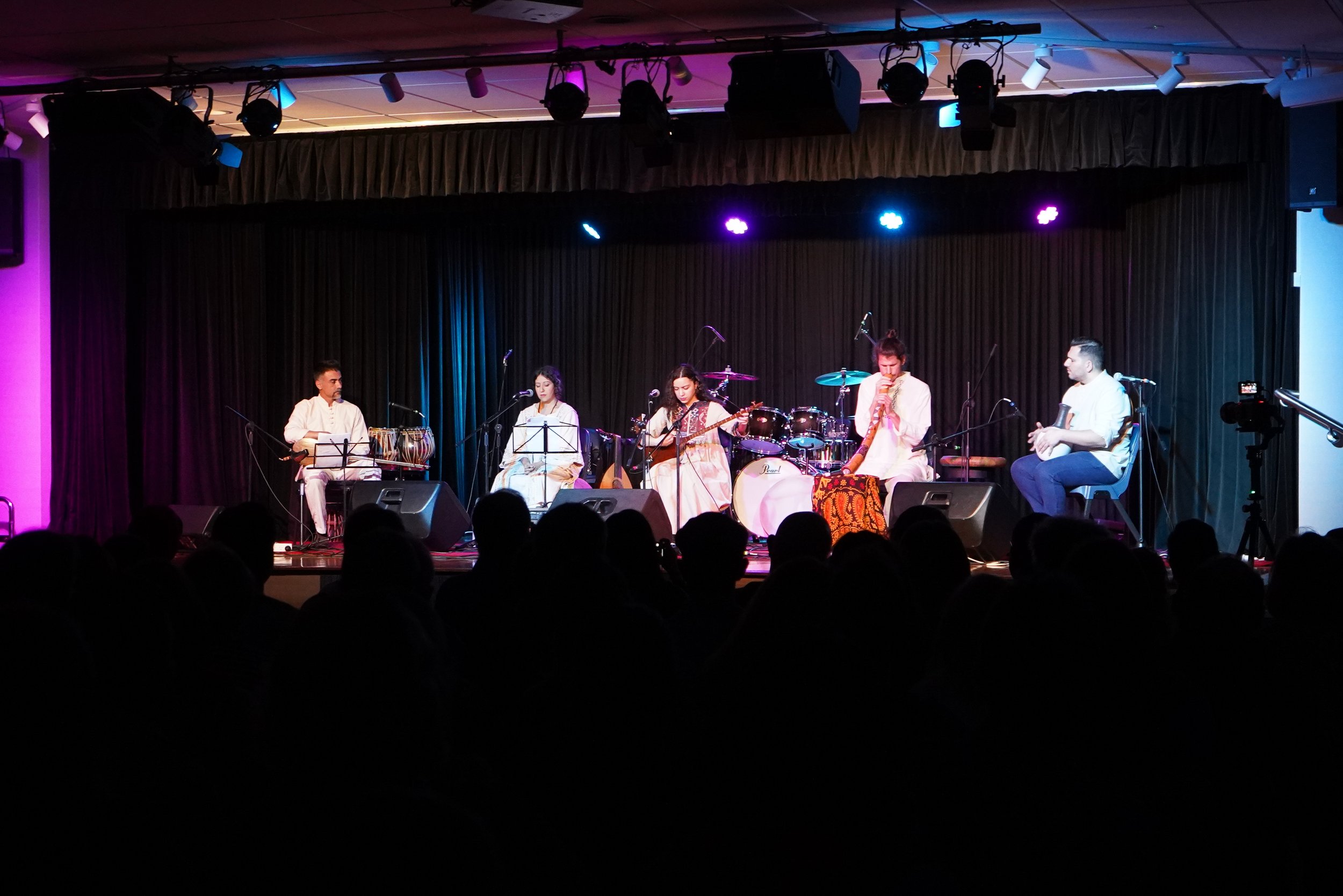 Musicians performing on stage with traditional instruments in a dimly lit venue, audience in foreground.